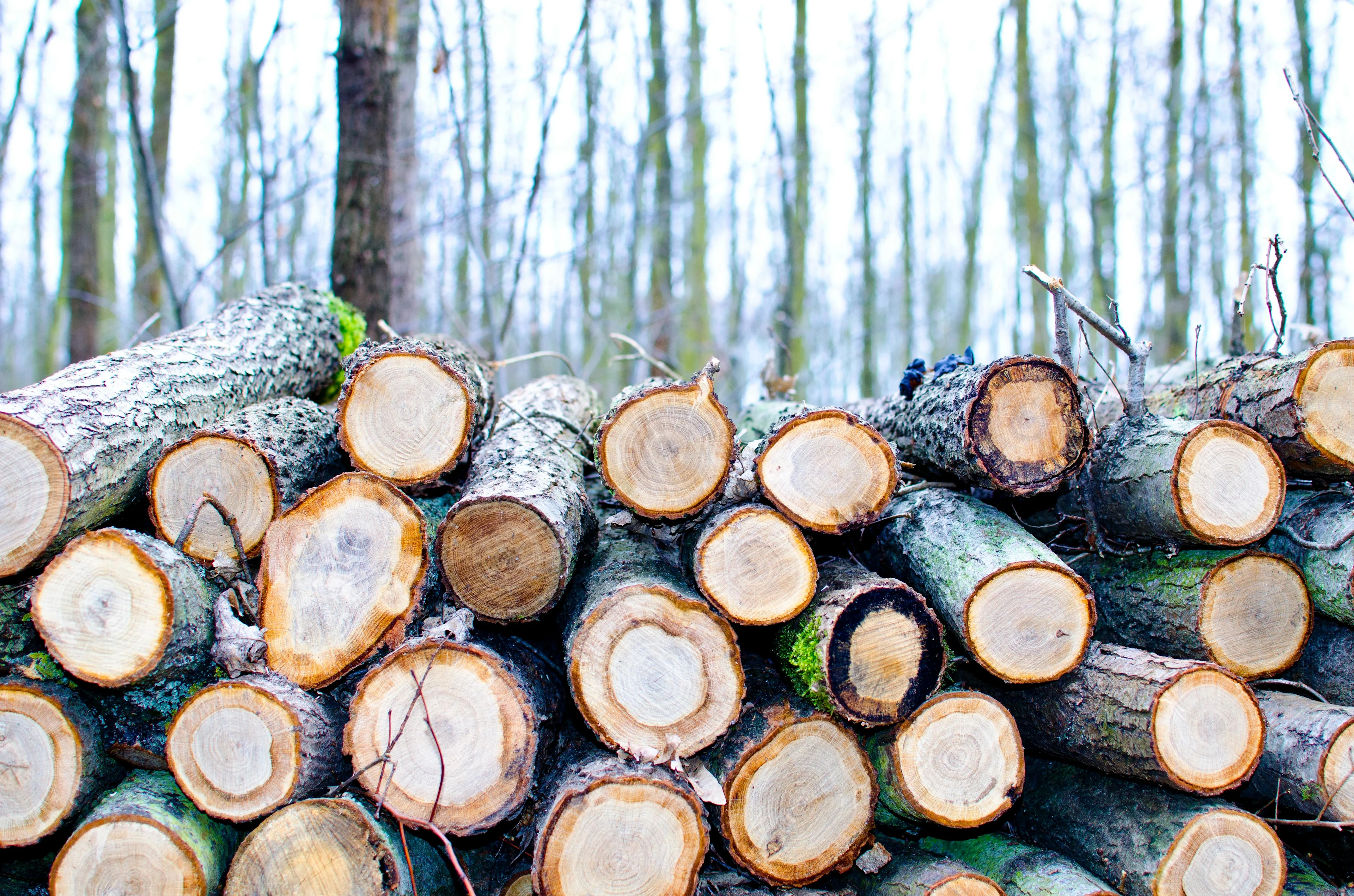 wood stack