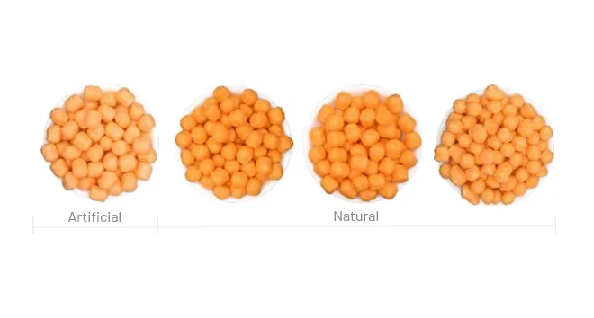 From left to right, this extruded cereal is colored with FD&C yellow #6, paprika, annatto, and paprika.
