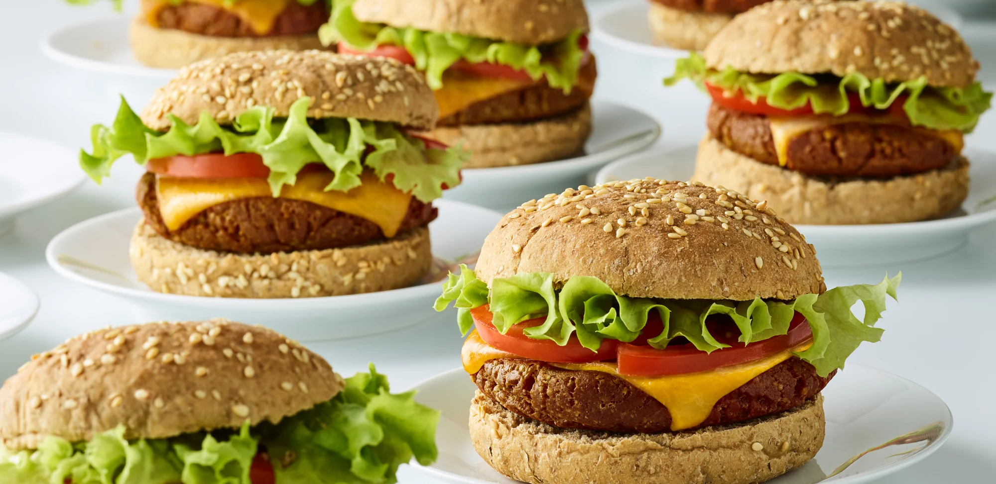 Oterra-red-blends-plant-based-cooked-burgers-hswp-wp-0820