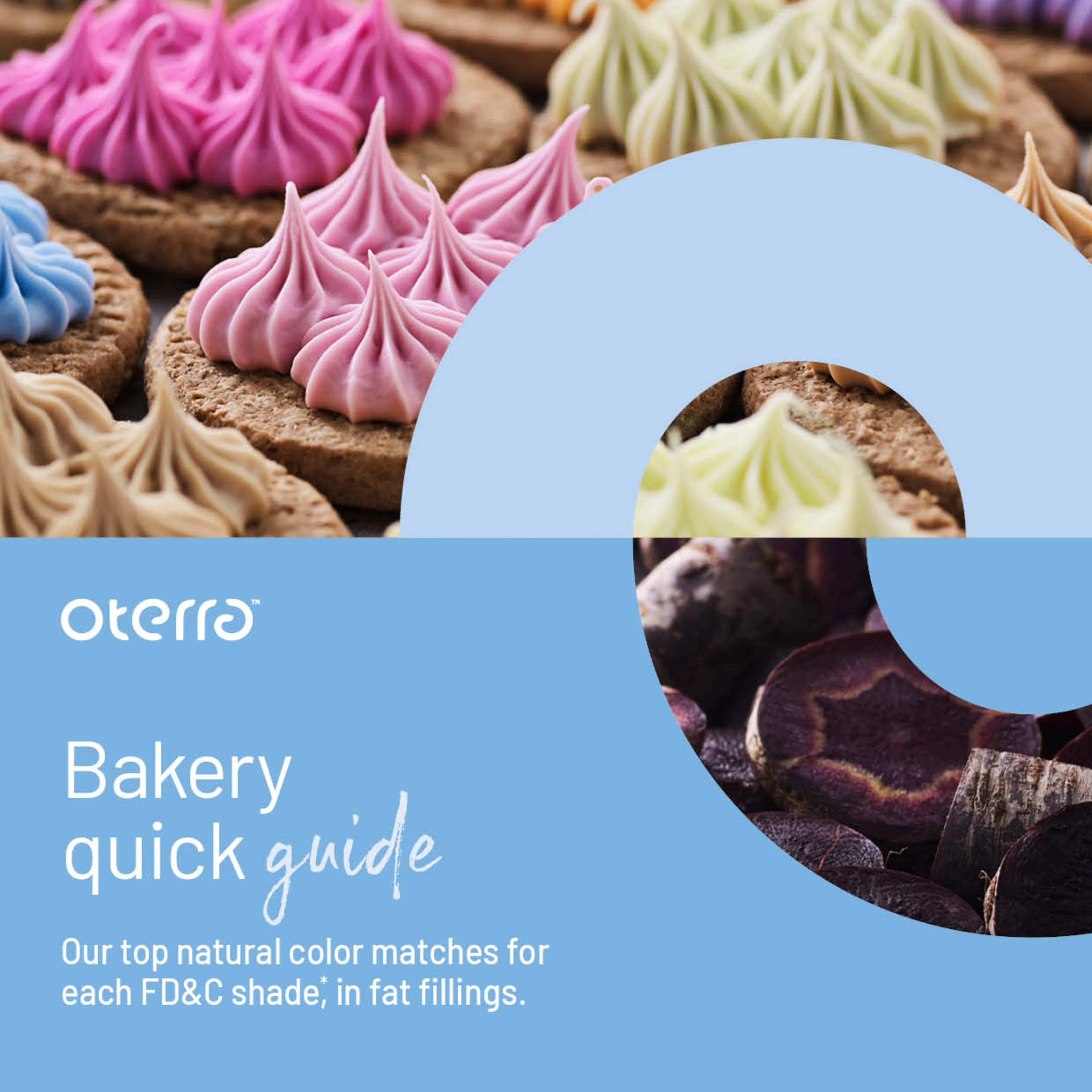 Oterra FD&C Bakery Fat fillings color guide A4 cover