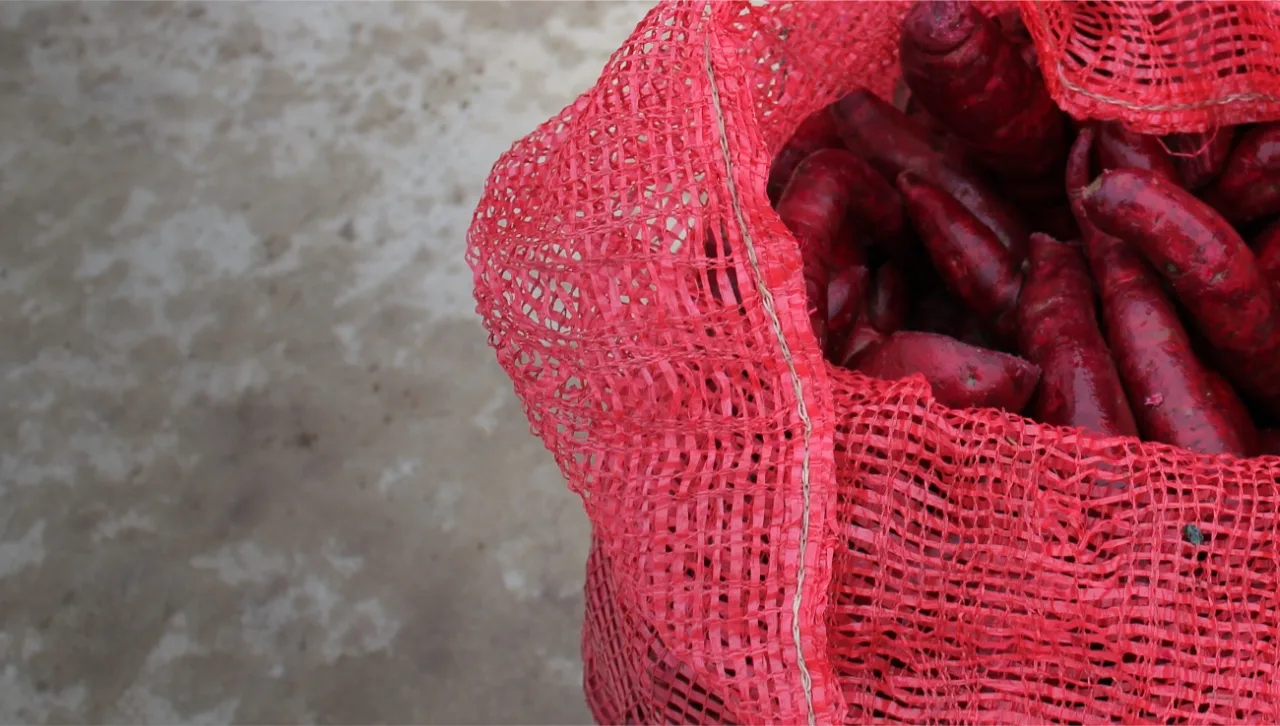 06-B-IMAGE cropped HSWP-in-pink-bag IMG 9698