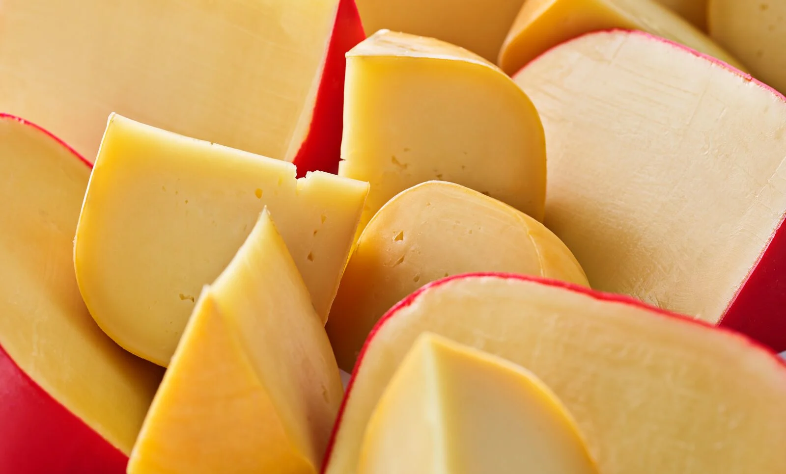 Oterra-yellow-cheese-Edam-Gouda