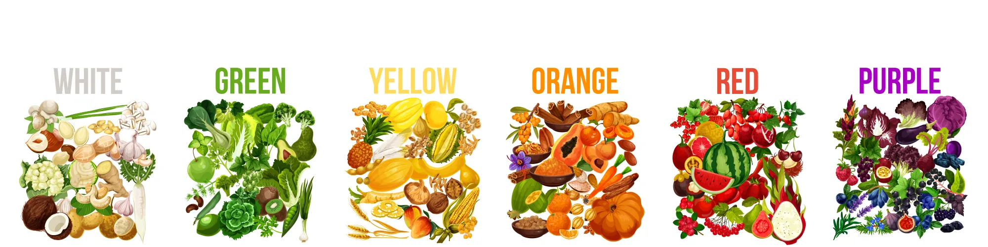 Oterra-eat-the-rainbow-header-2000x500px