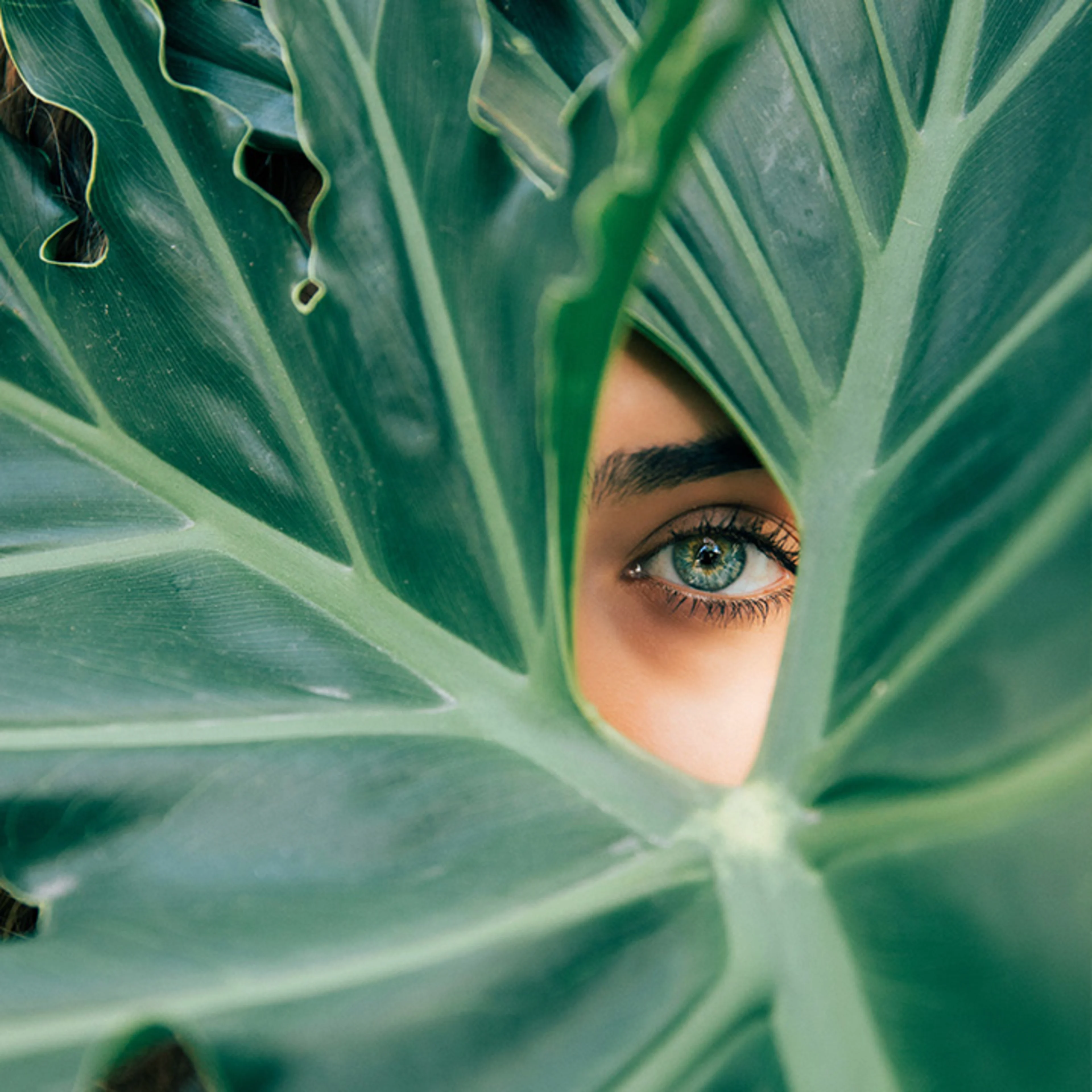 Cultural differences about green
