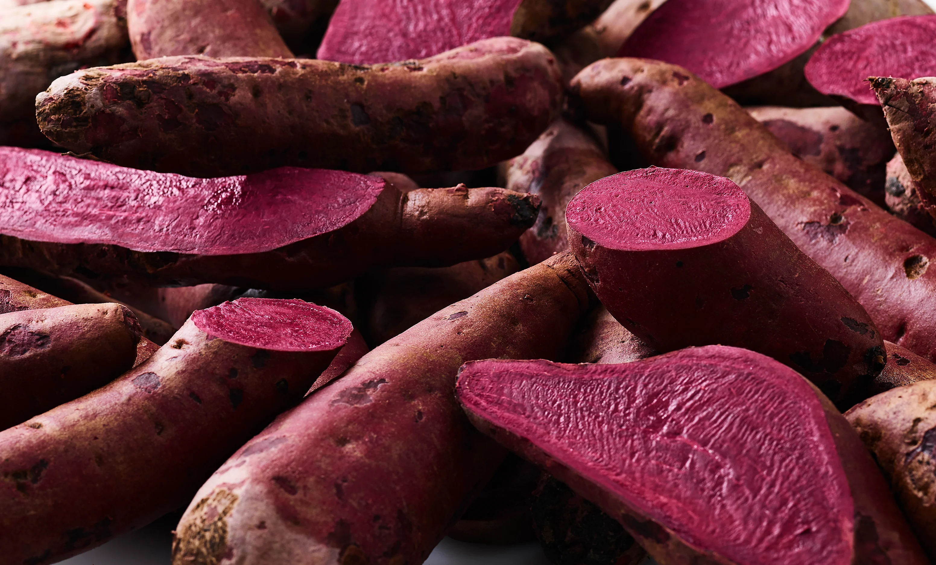 Oterra-HSWP-wallpaper-1018