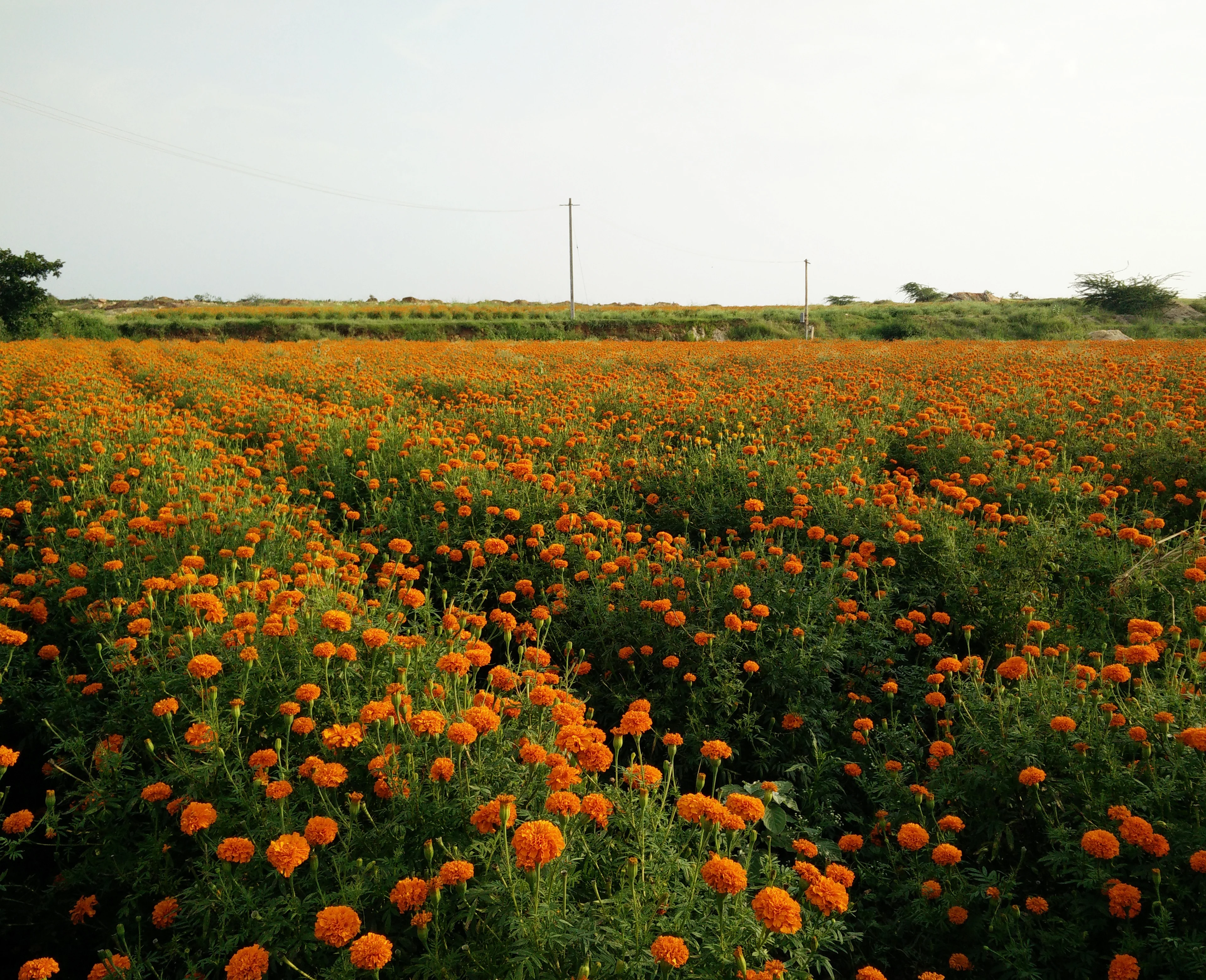 01-HERO IMG 20170926 170428 aligned