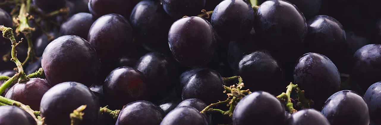 Grape header
