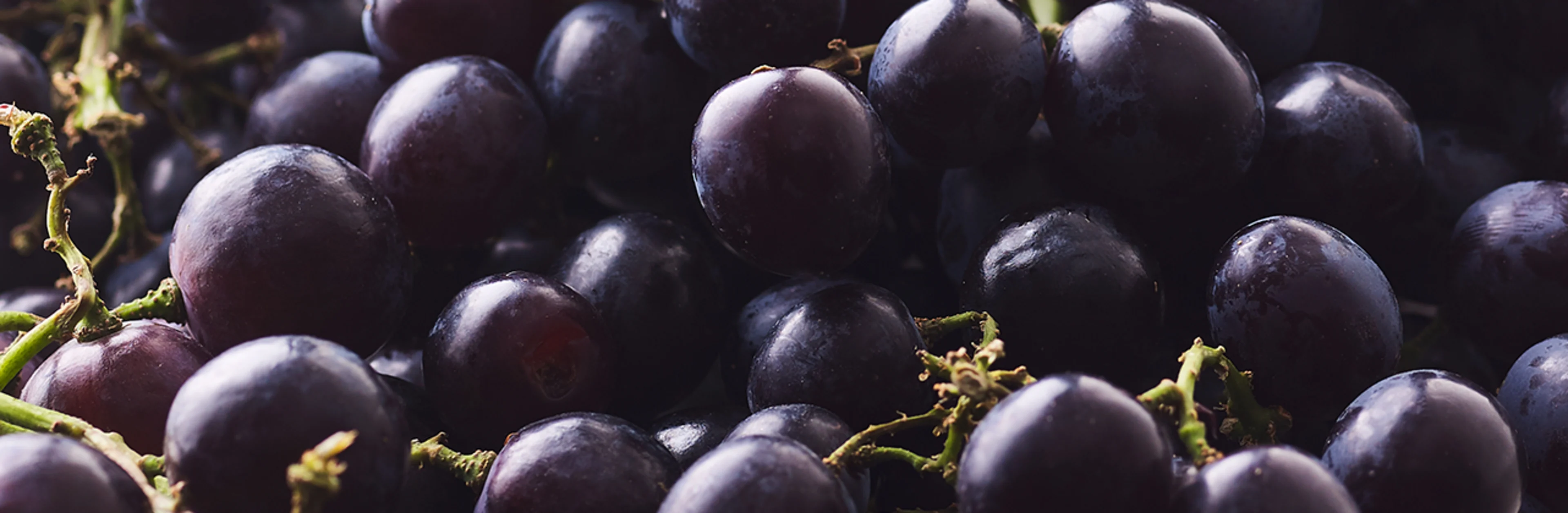 Grape header