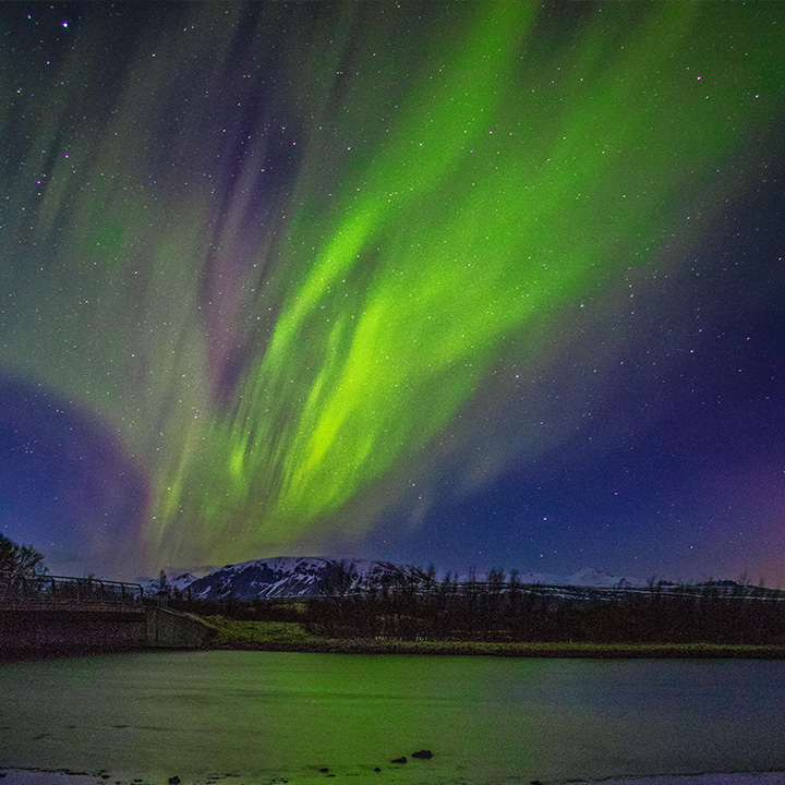 Green is the most common color of Aurora (Northern Lights). 