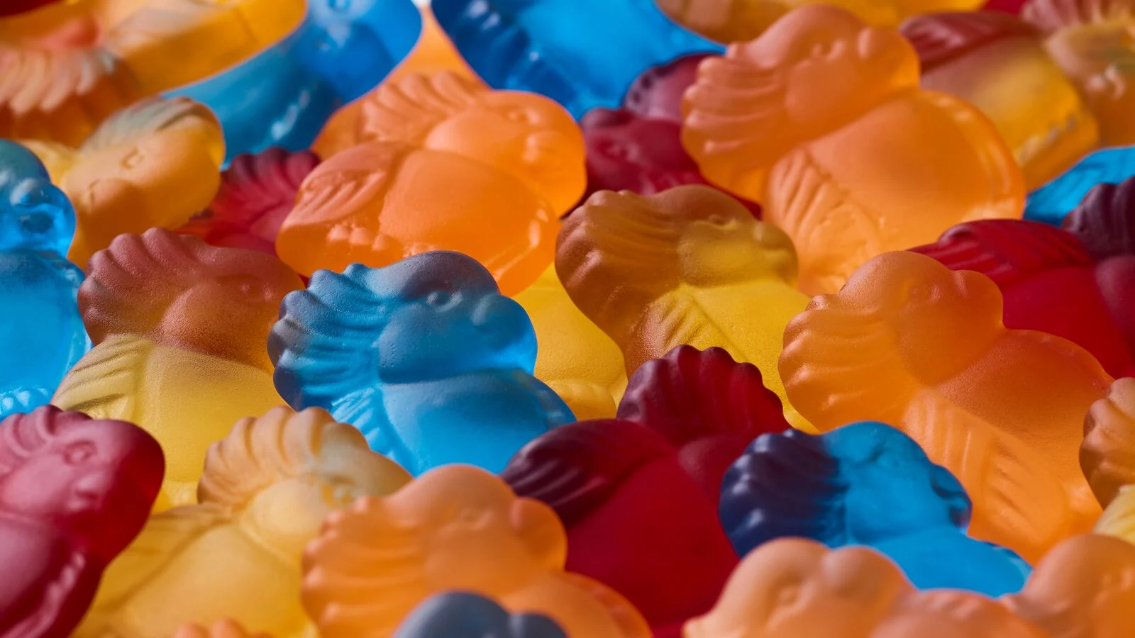 large-Oterra-org-mix-jellies-wp-0322