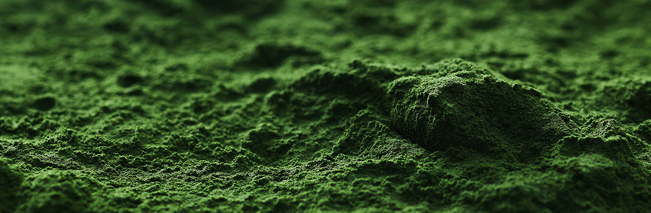 Spirulina powder