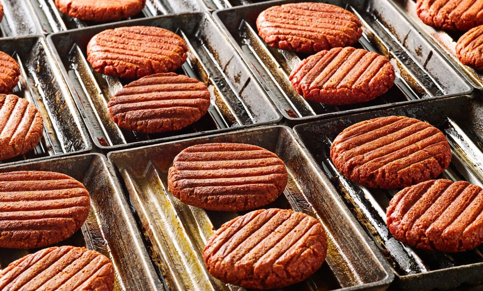 Oterra-HSWP-PB-patties-cooked-wp-0820