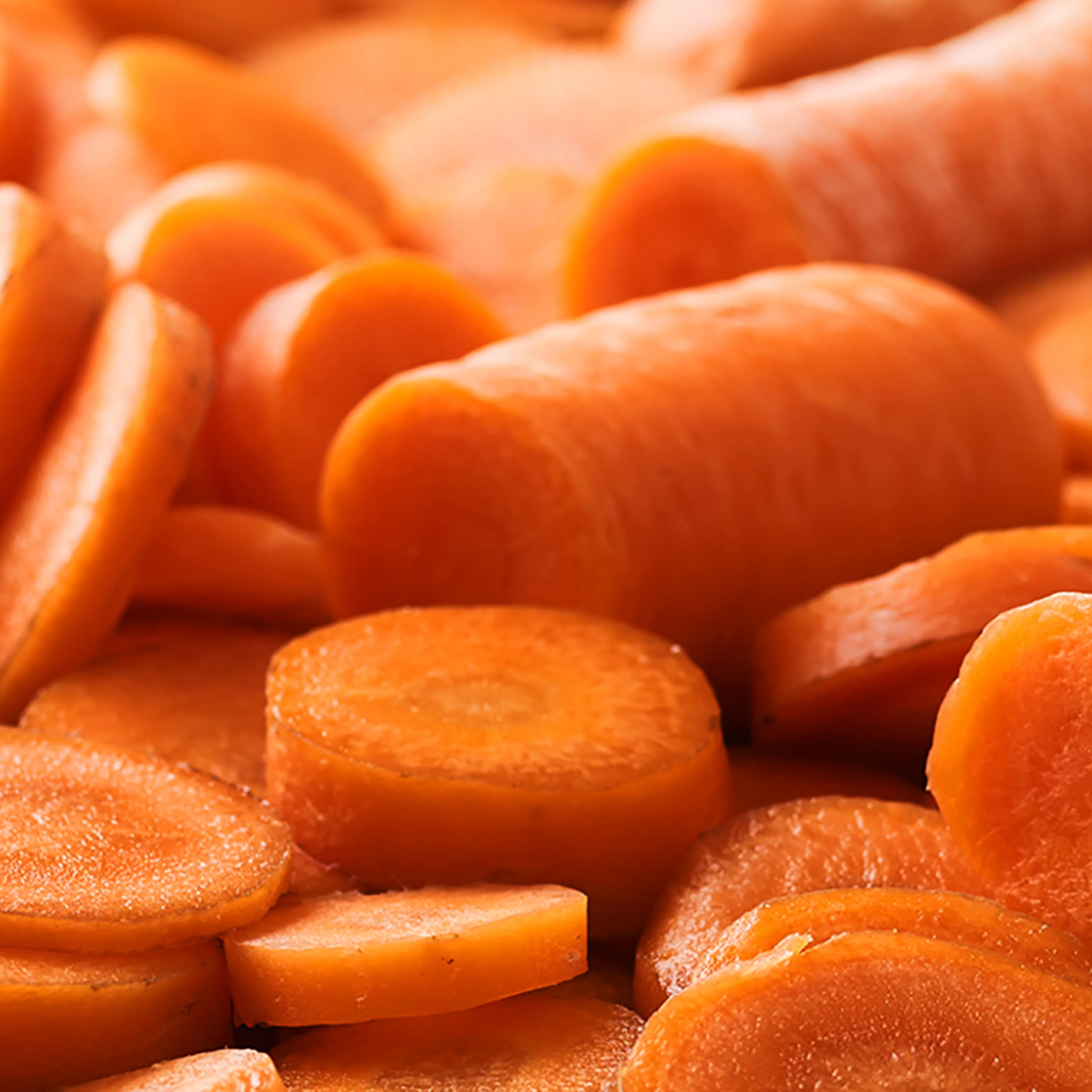 Oterra-raw-orange carrot-wallpaper-landscape-0118-ppt