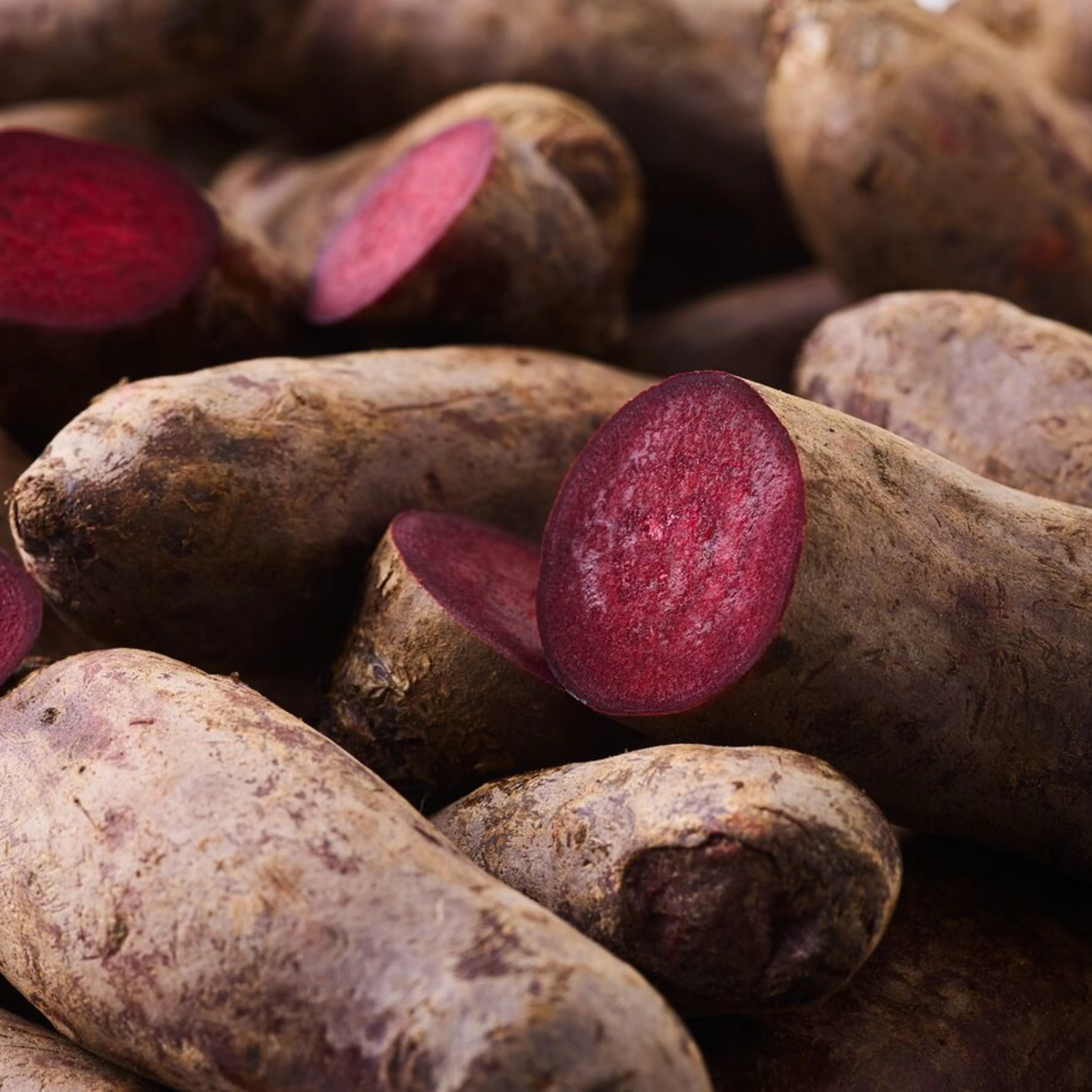 large-Oterra-org-raw-red beet-wp1-0322