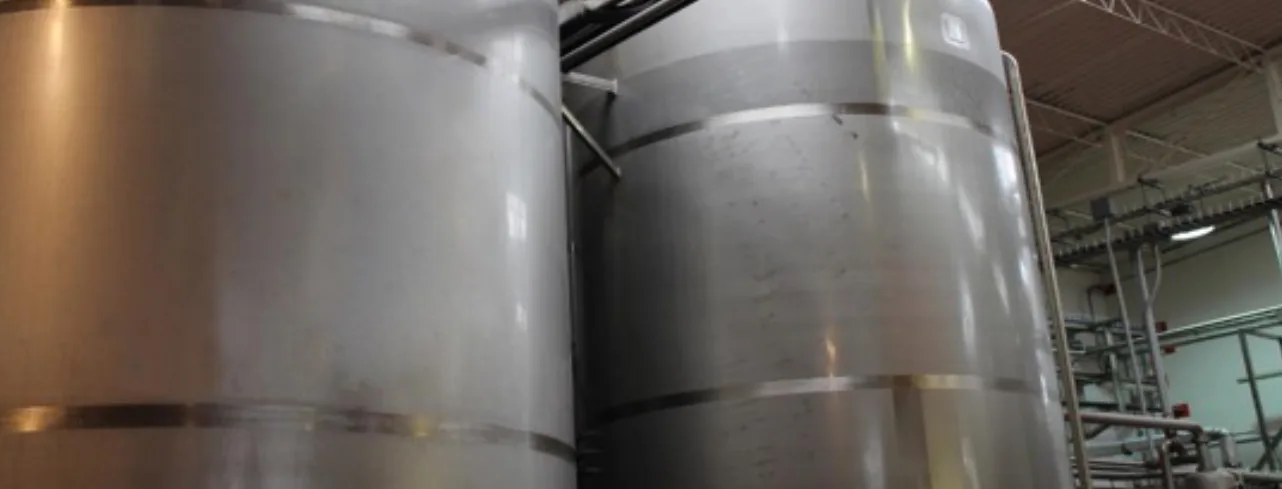 Blakeslea trispora is grown in large vats