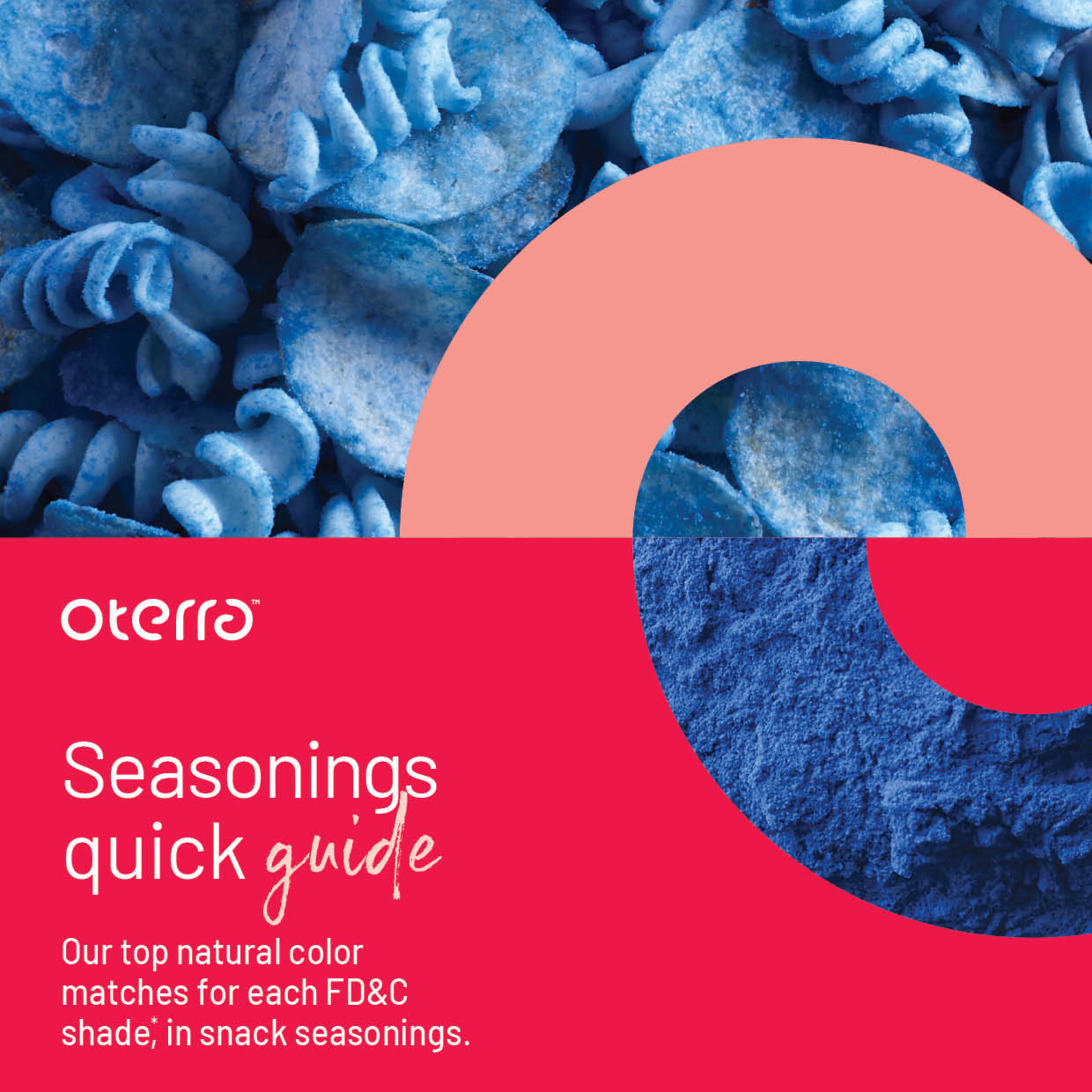 Oterra FD&C Snack Seasonings color guide A4 cover