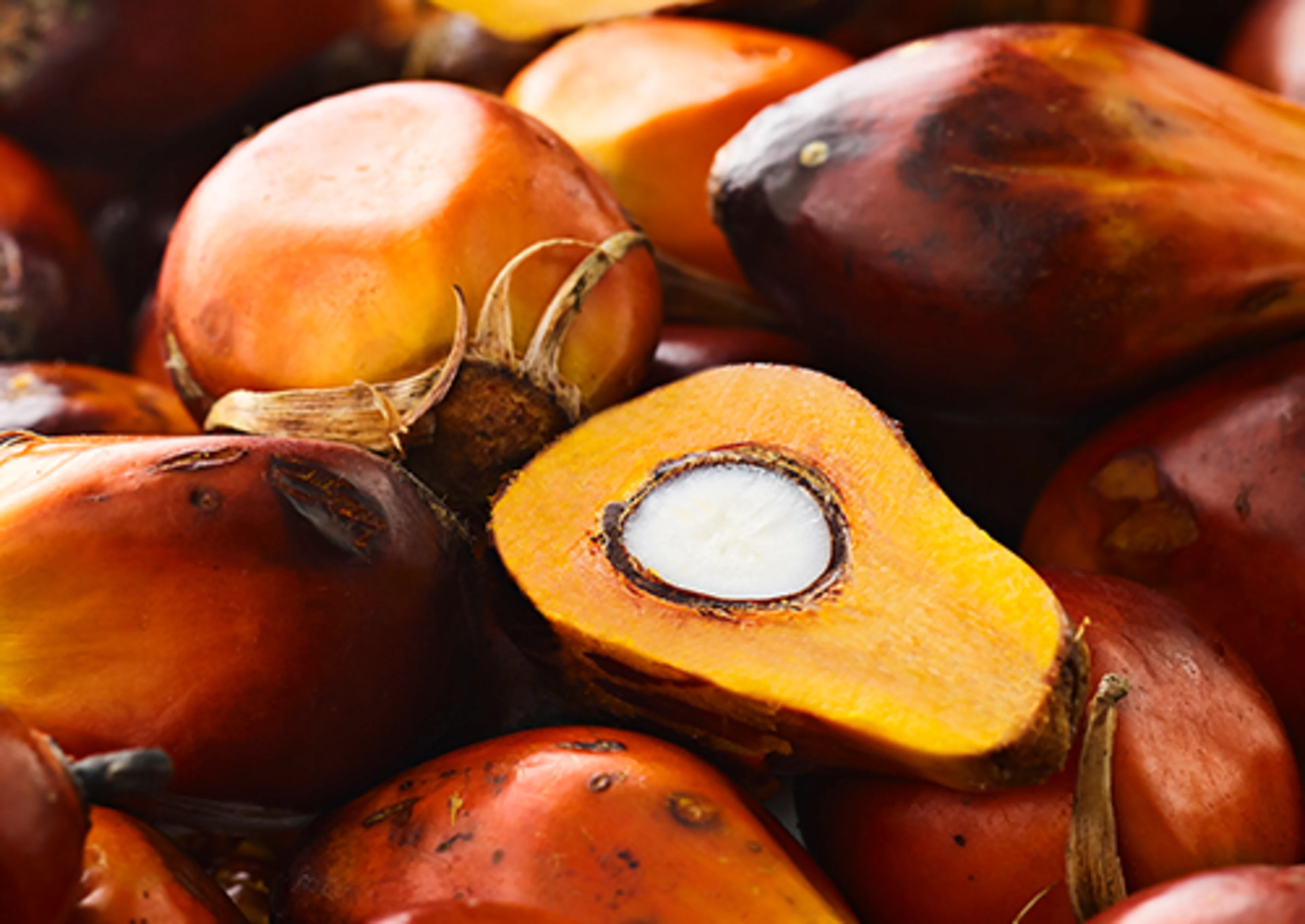 Natural colors is made from Palm oil fruit - not the kernel
