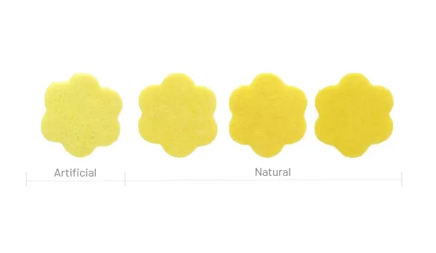 Left to right: FD&C Yellow #5 (tartrazine), nature identical beta-carotene, carrot, fungus carotene
