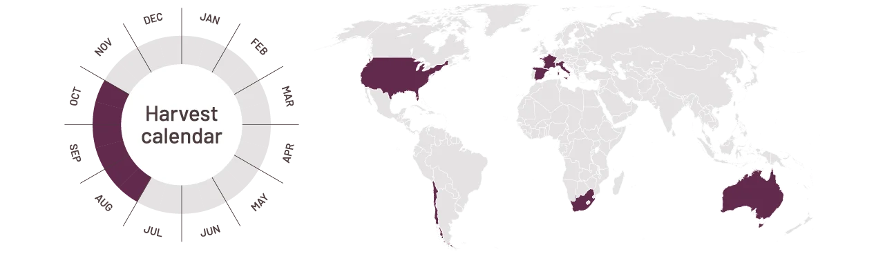 Harvest calendar grape