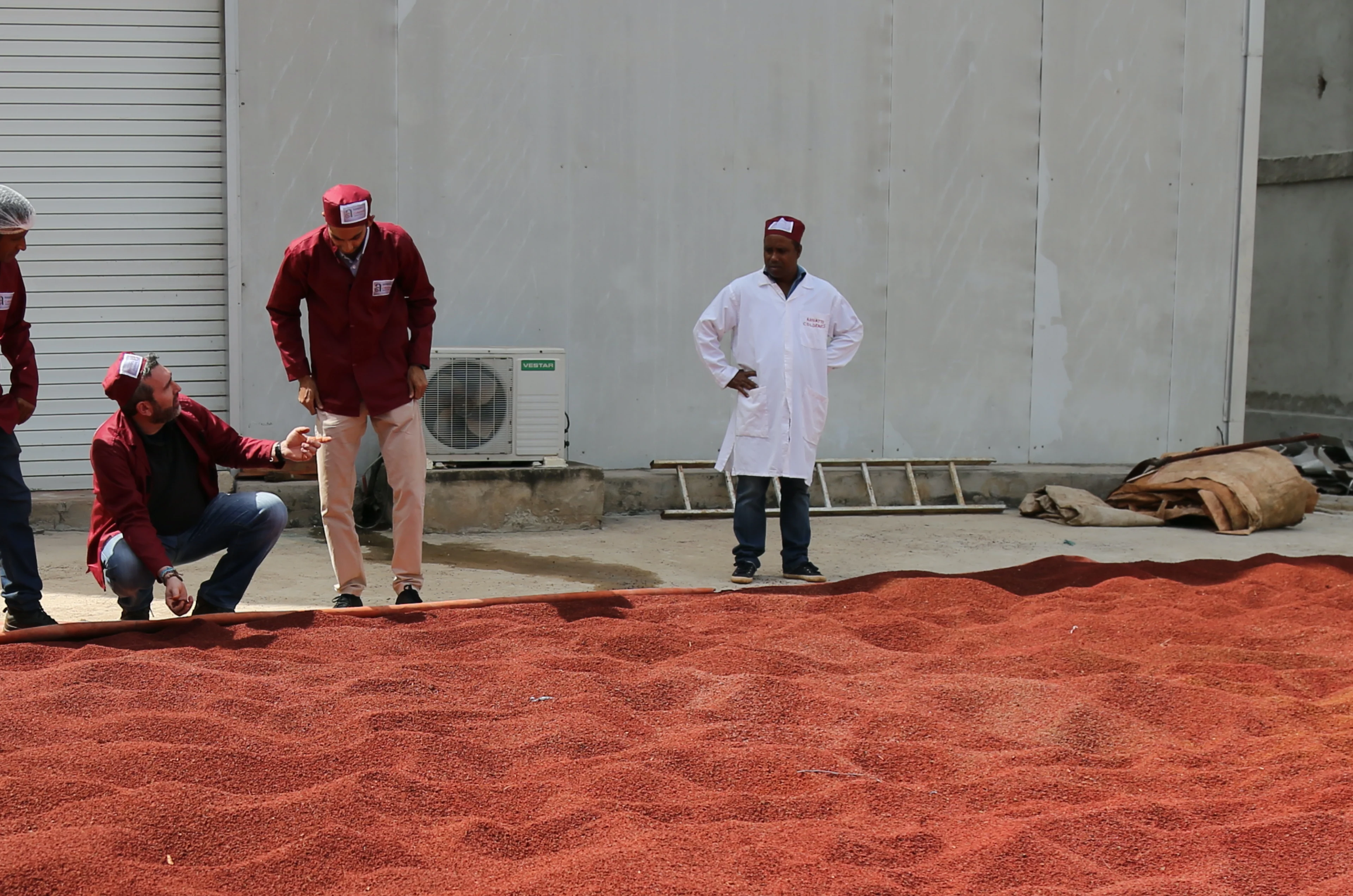 01-B-HERO cropped 3f9a1239