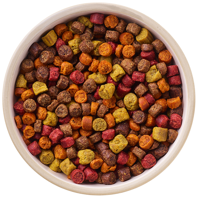 Oterra Natural, Pet Safe Food Coloring