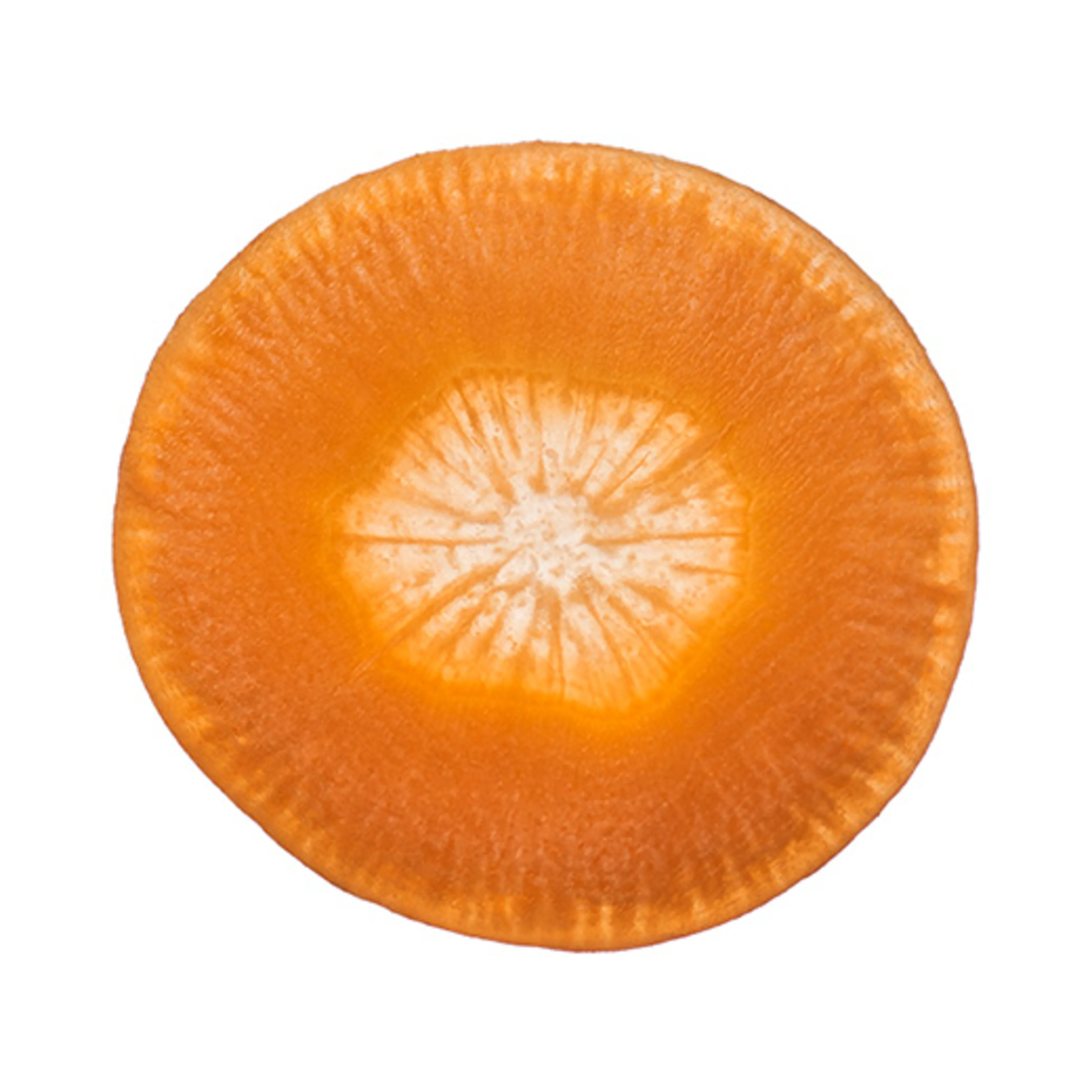 Orange carrot slice
