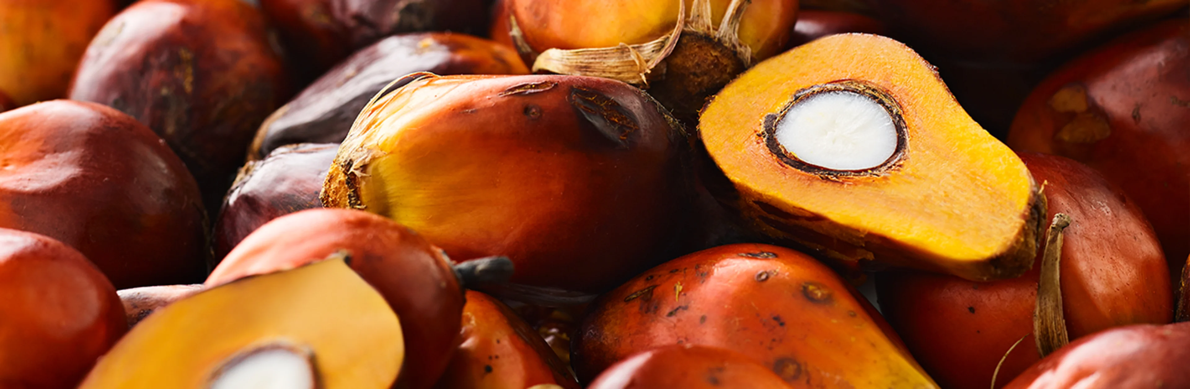 Palm fruit header