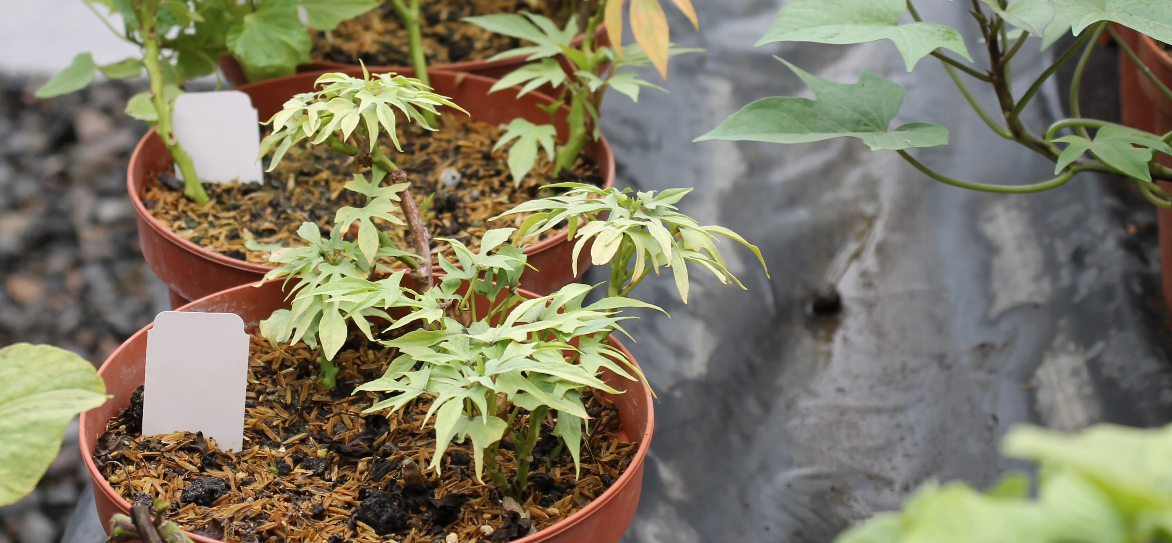 01-HERO IMG 9706 edited