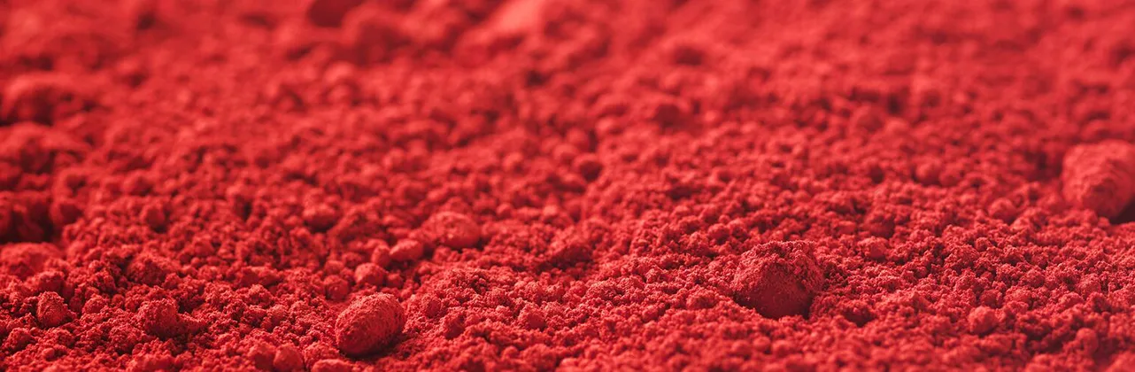 Fungus carotene header 1282x420 Fungus carotene comes from Blakeslea trispora