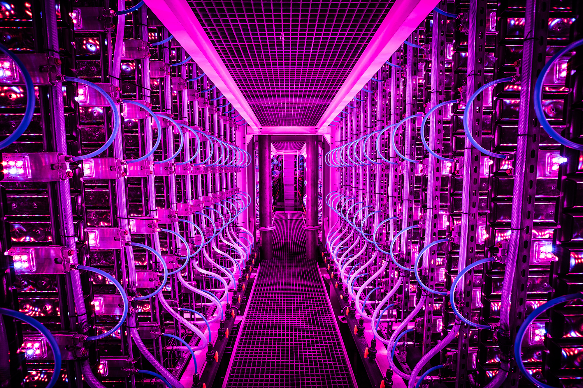 High-tech partnership creates a natural blue color for a greener tomorrow