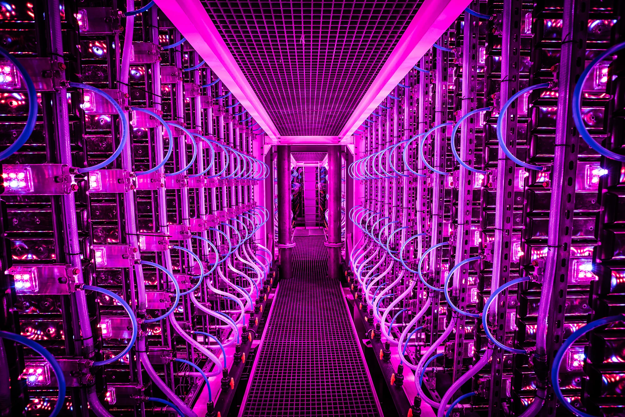 High-tech partnership creates a natural blue color for a greener tomorrow High-tech partnership creates a natural blue color for a greener tomorrow