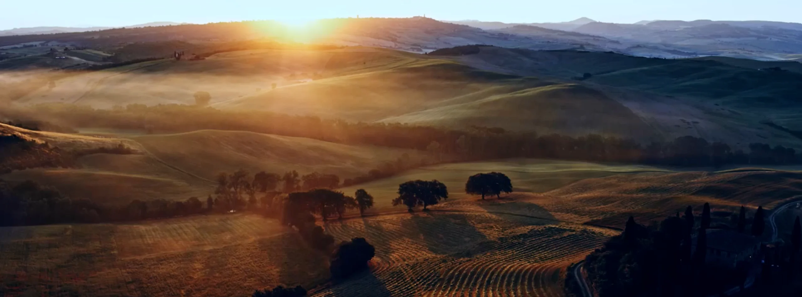 Oterra brand film full bleed teaser
