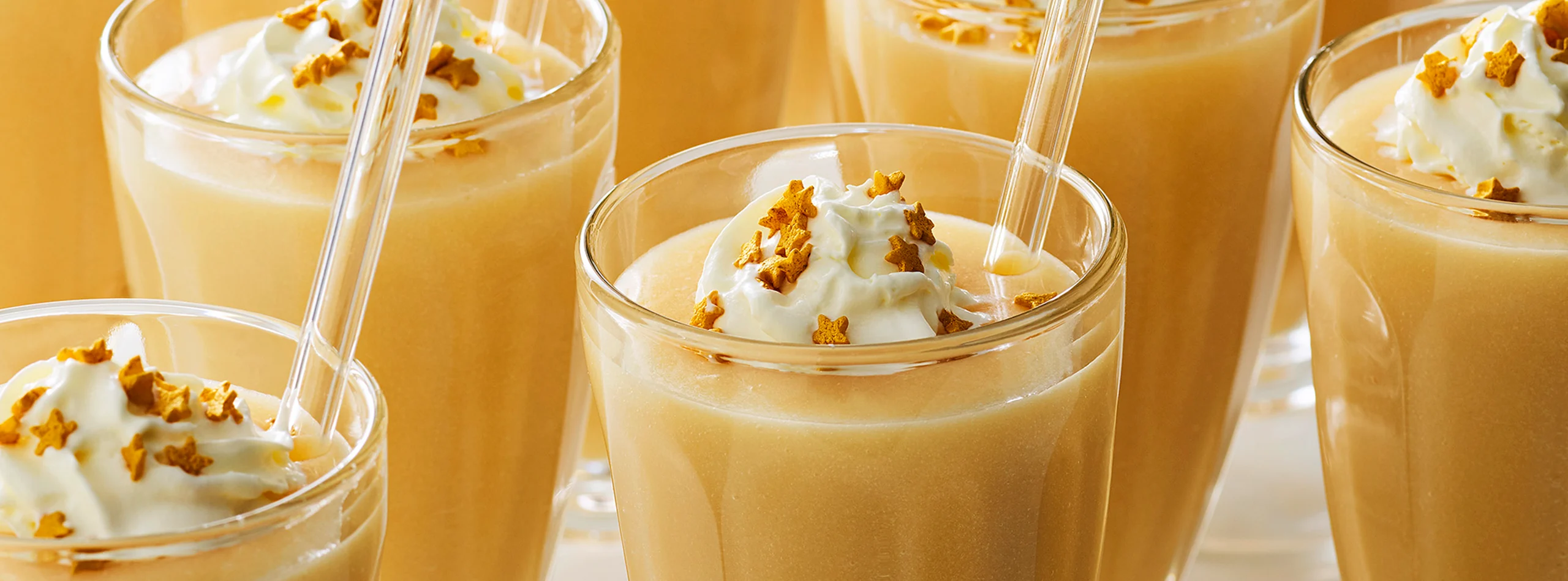 Oterra orange milkshake top banner