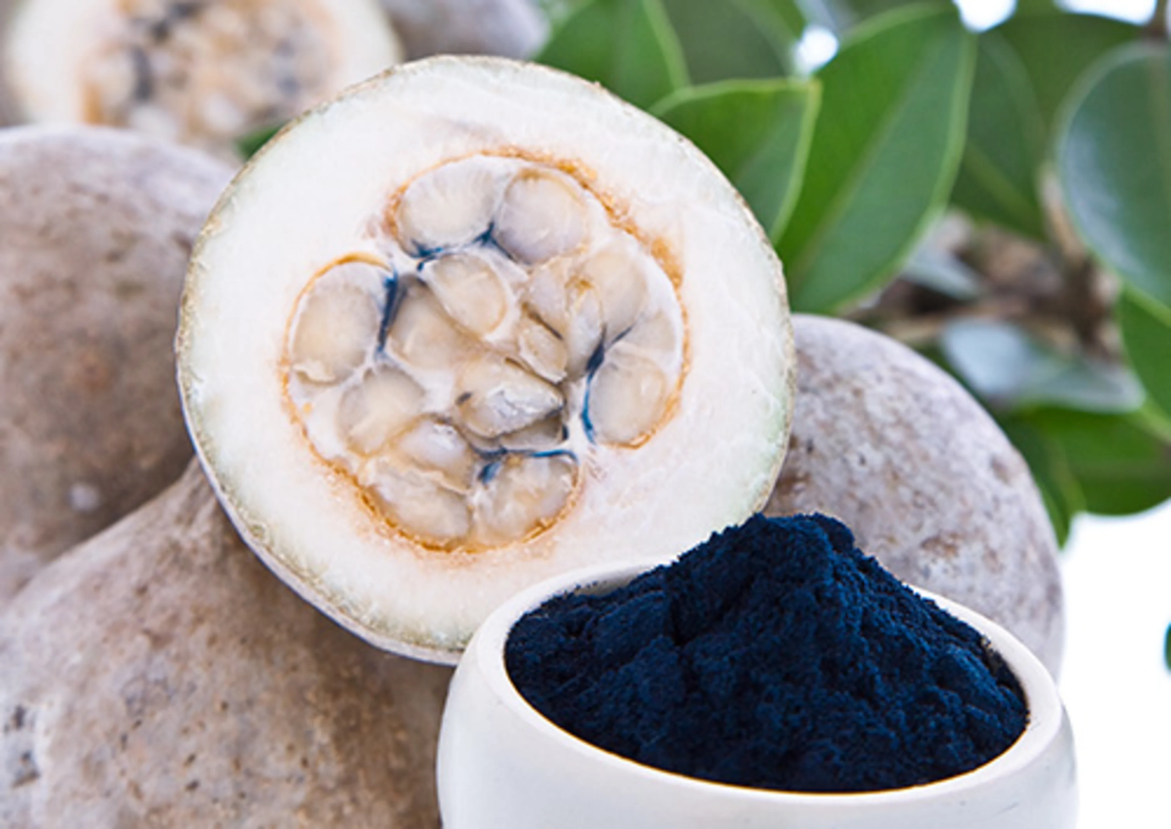 Blue from huito has long been used as a dye