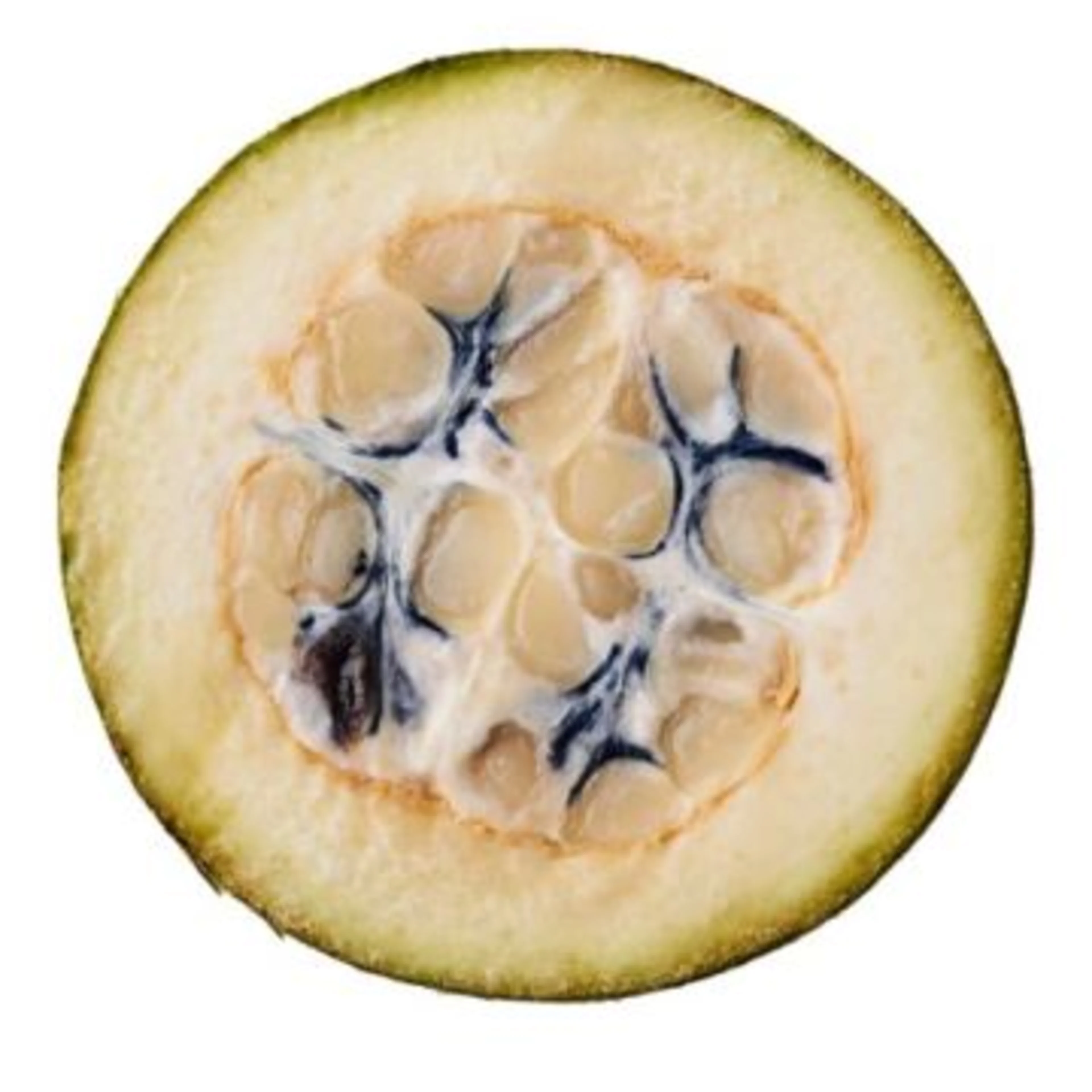 Raw-material-huito-cutout