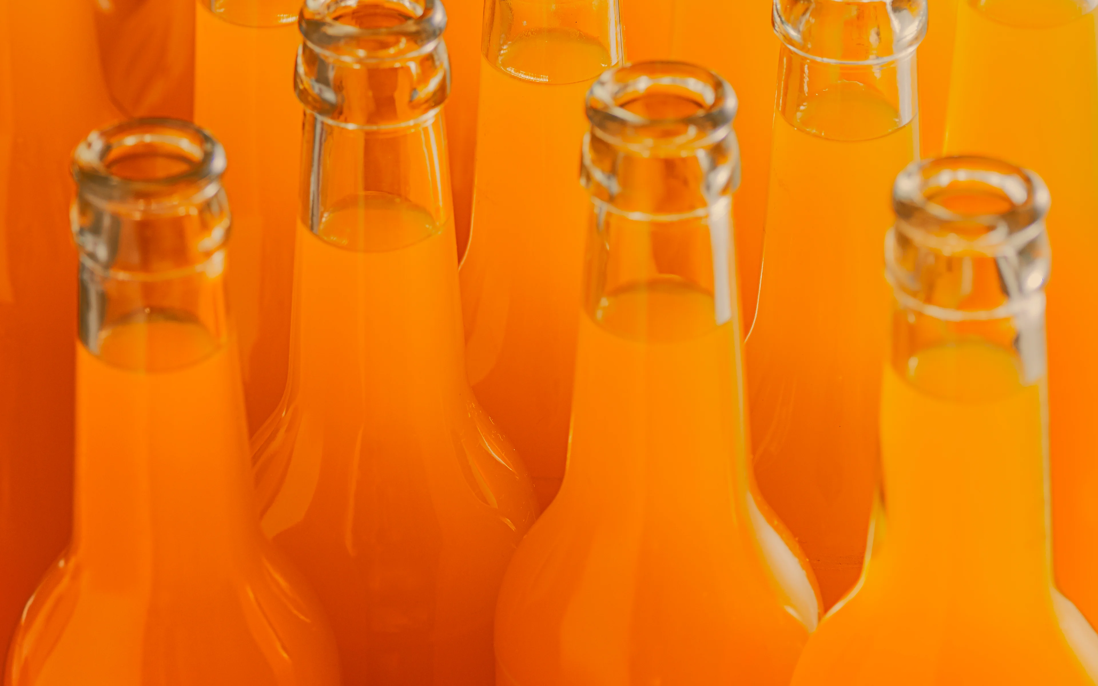 Oterra-Orange-sodas-front-page-adjusted