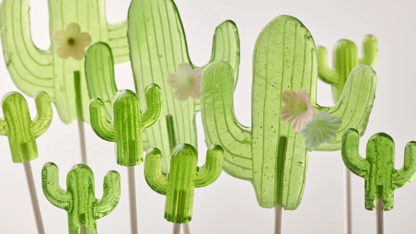 large-Oterra-green-lollipops-wp-0921