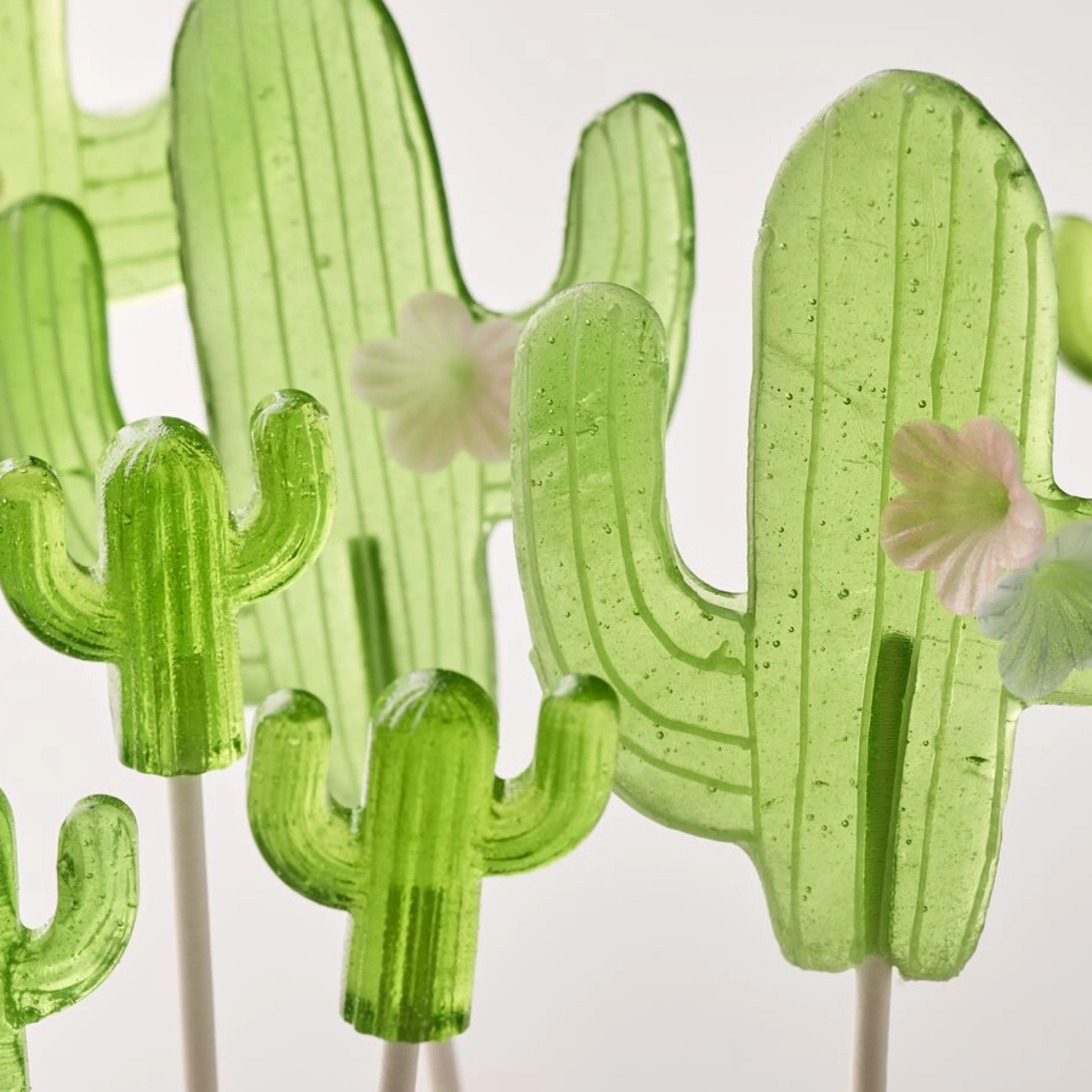 large-Oterra-green-lollipops-wp-0921