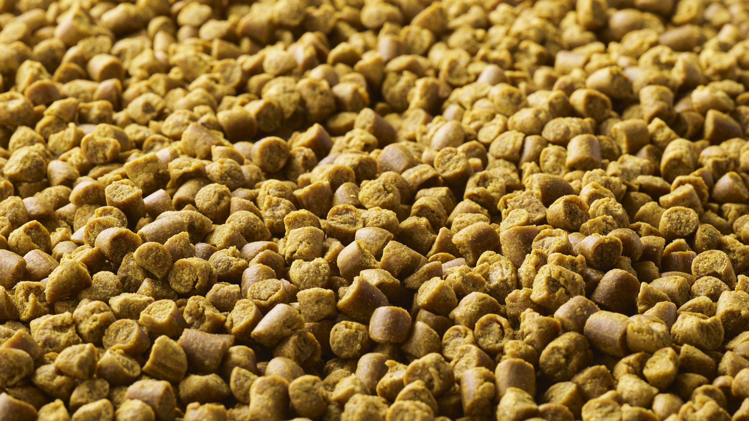 Oterra launches natural yellow to help pet food brands replace FD&C Yellow 5