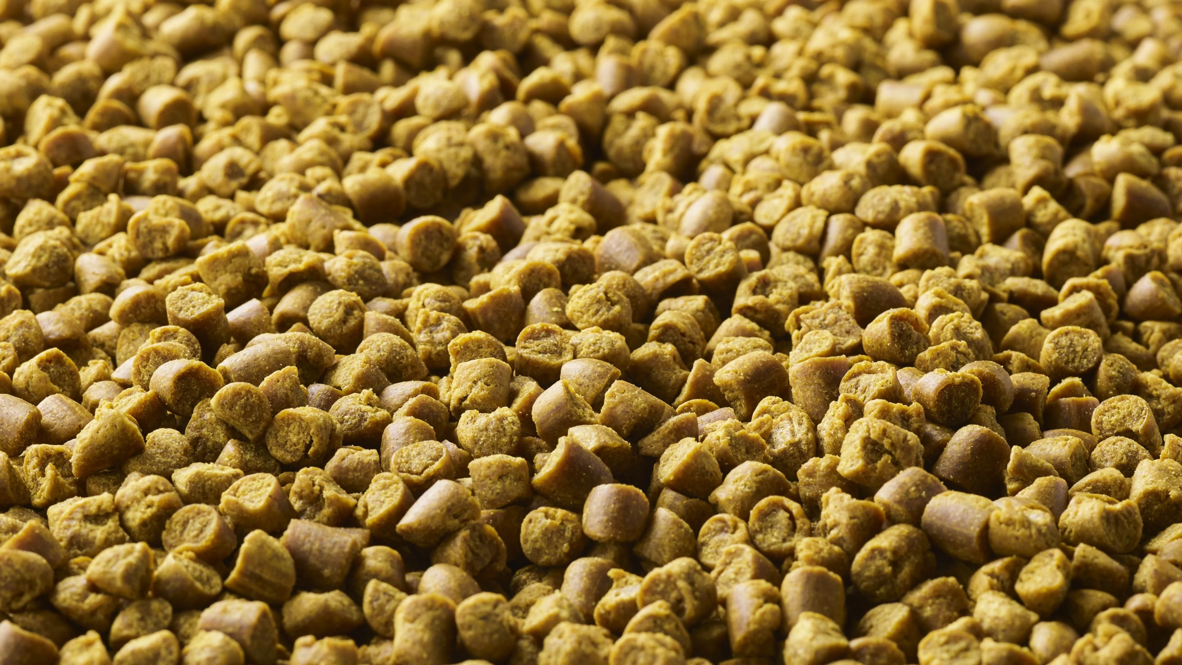 Oterra launches natural yellow to help pet food brands replace FD&C Yellow 5 Oterra launches natural yellow to help pet food brands replace FD&C Yellow 5