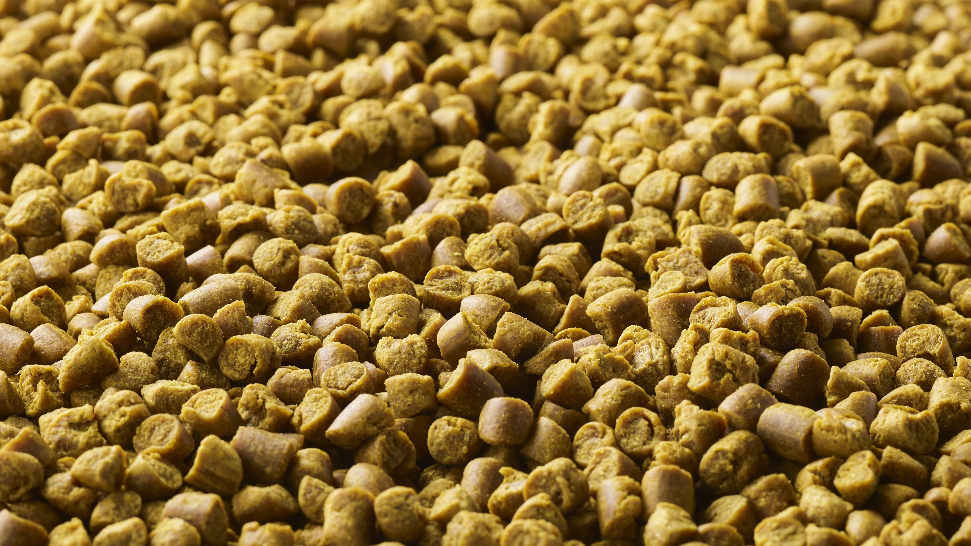Oterra launches natural yellow to help pet food brands replace FD&C Yellow 5