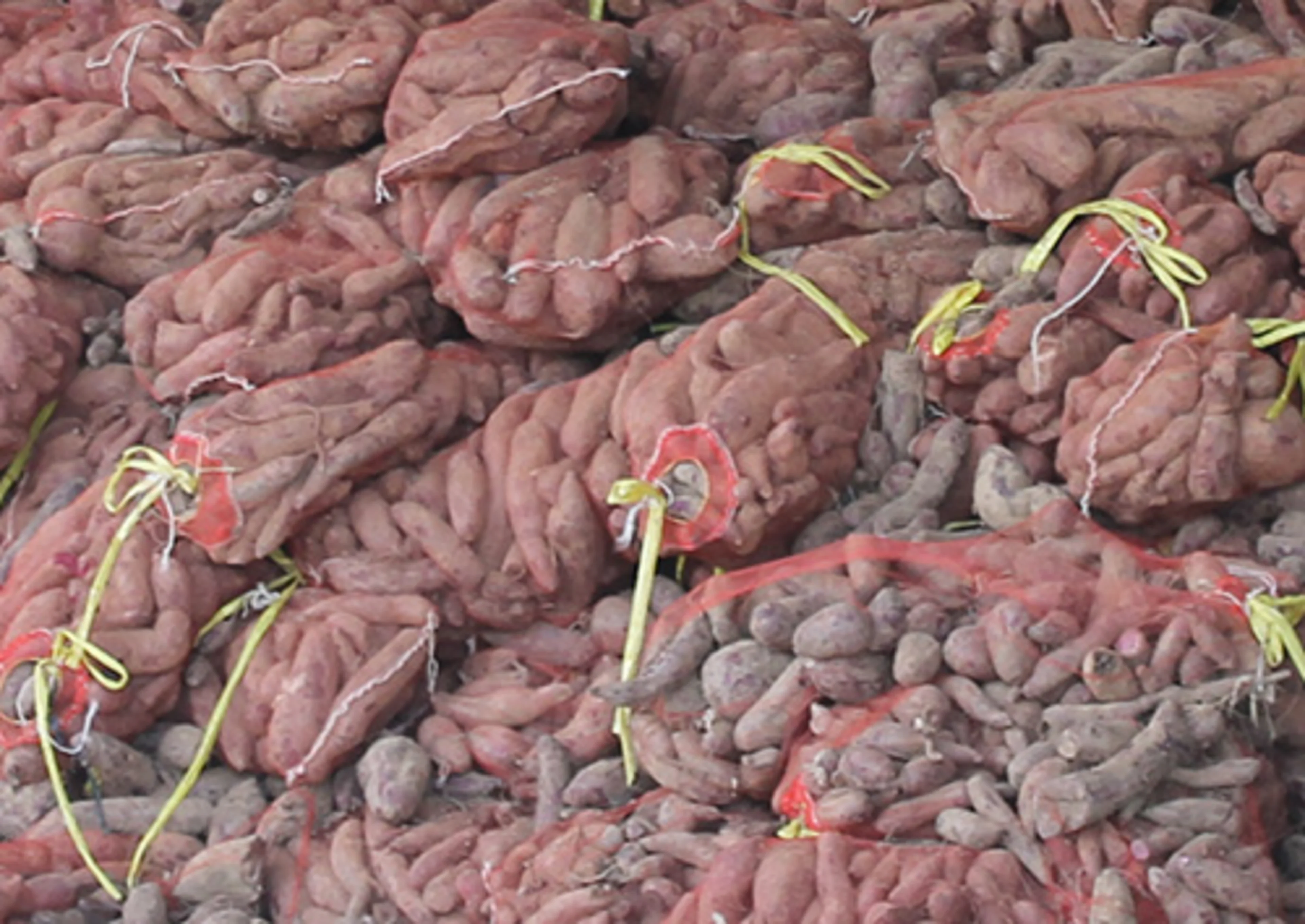 Sweet potato produces a stable natural food color
