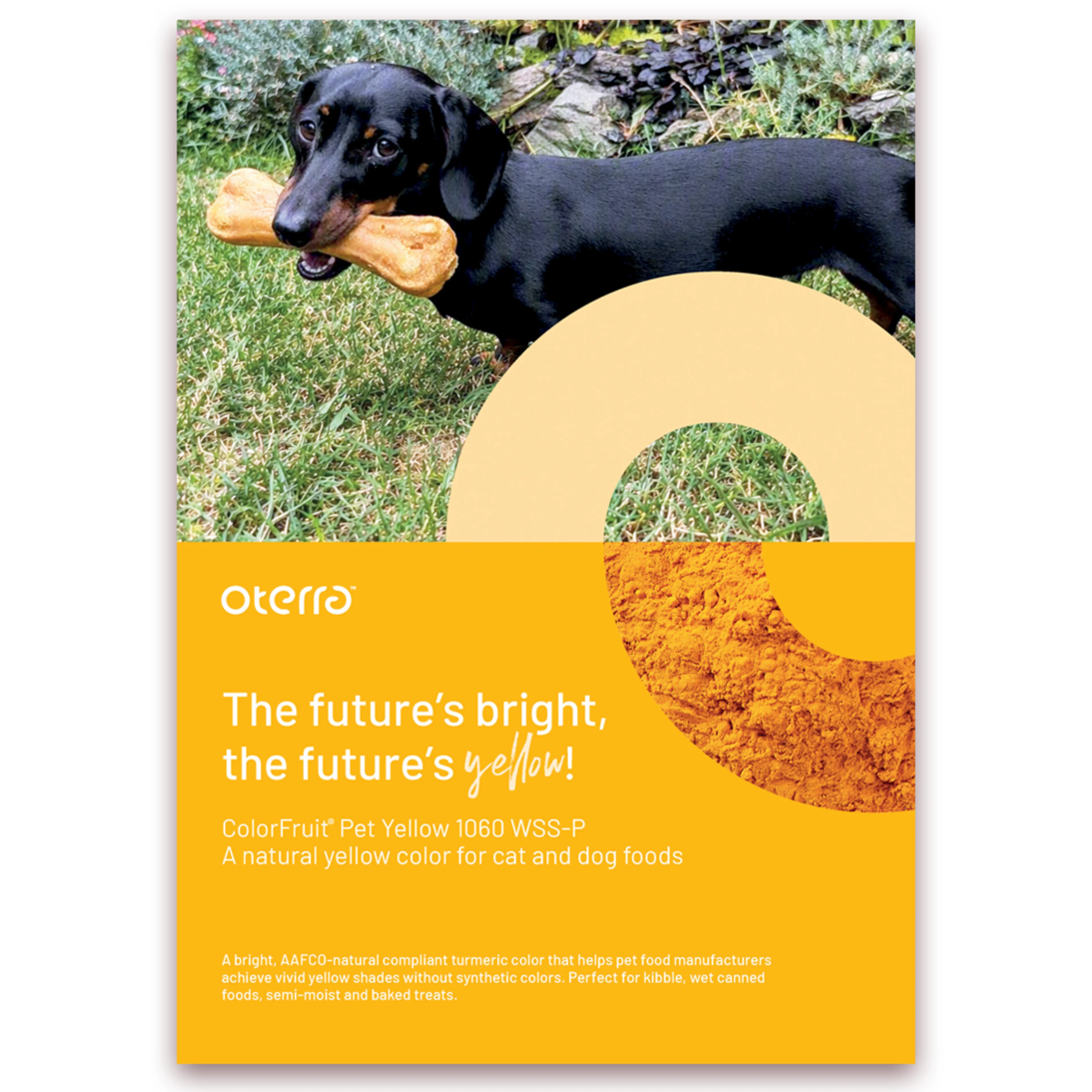 AAFCO Turmeric front cover photo