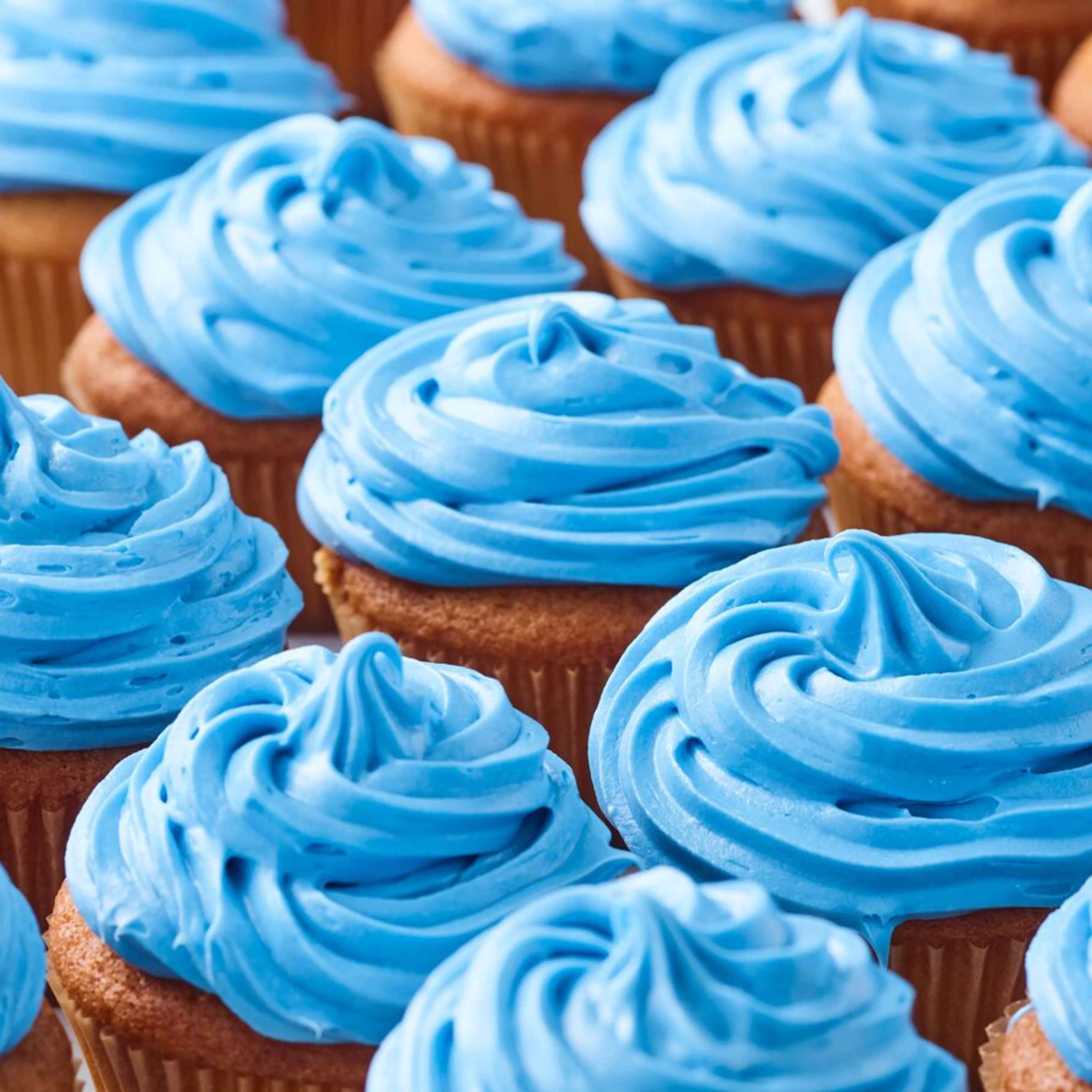 large-Oterra-blue-frosting-cupcakes-wp-0322