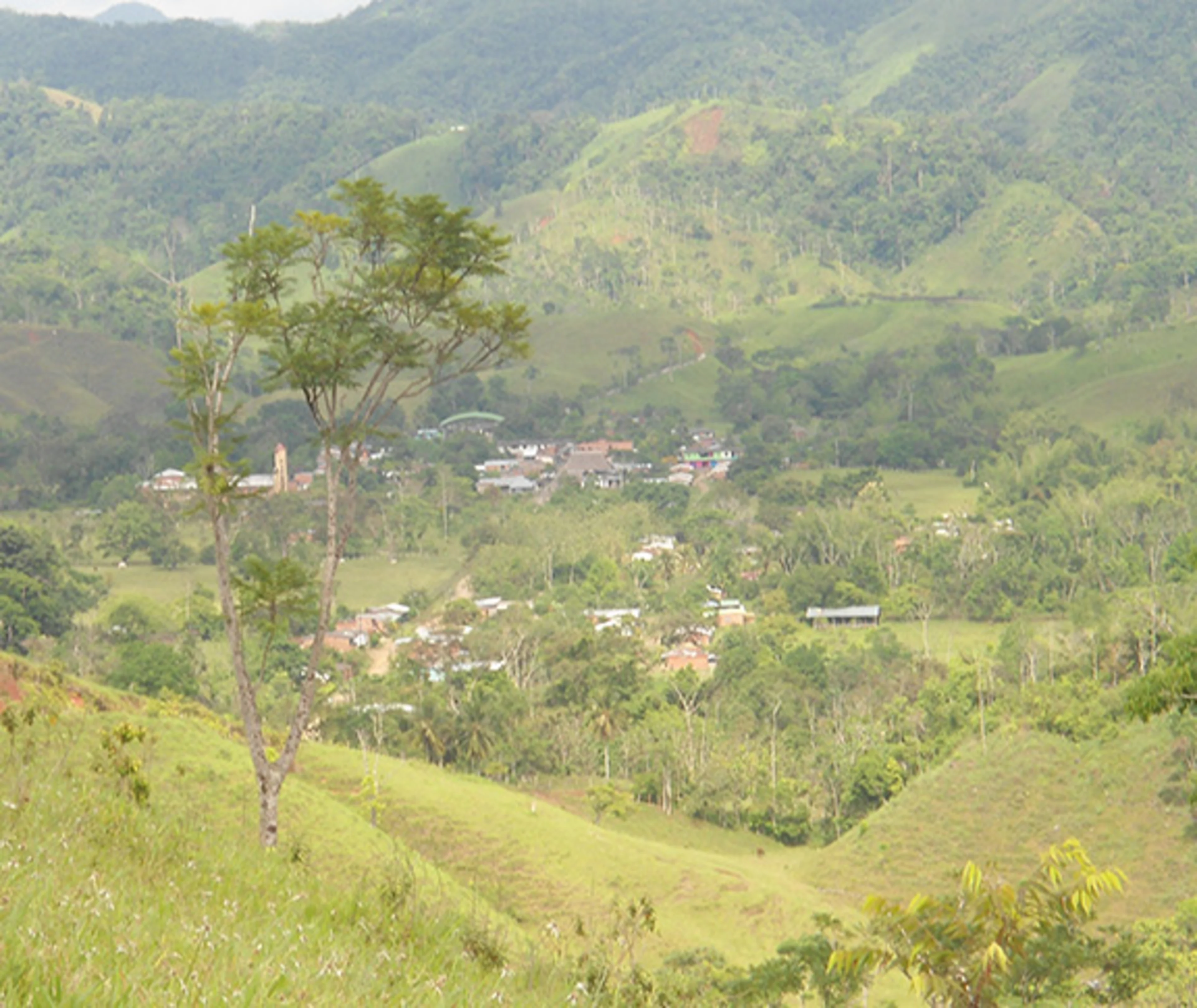 Huito tree with village in background