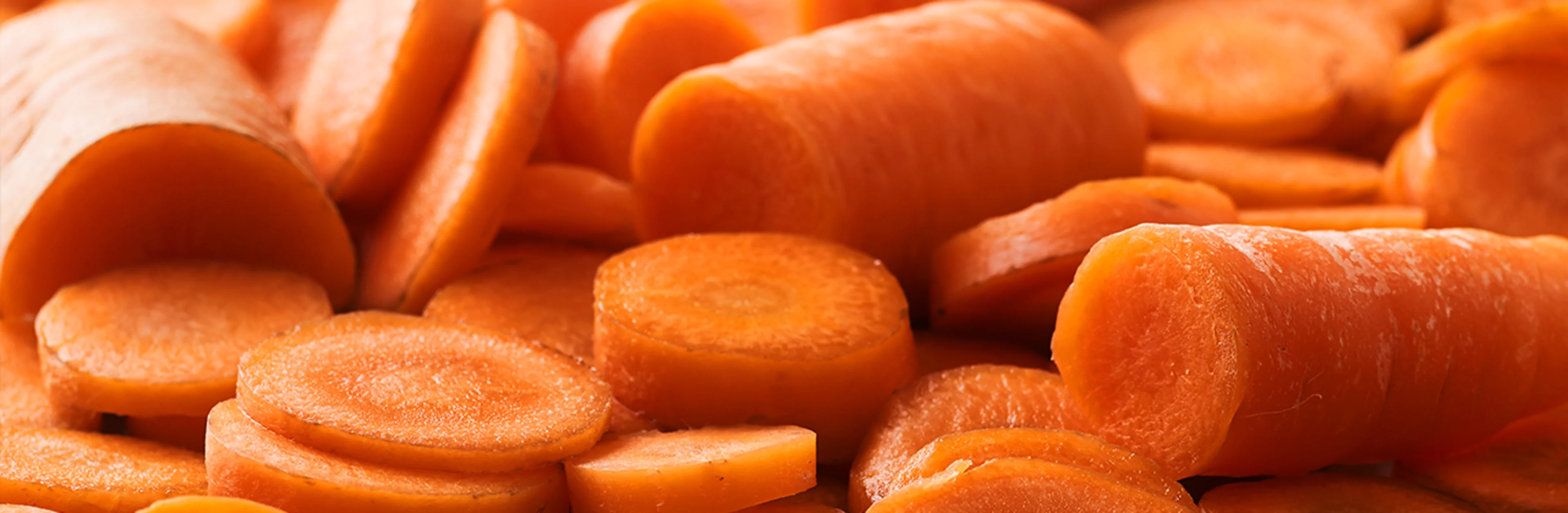 Orange carrot header