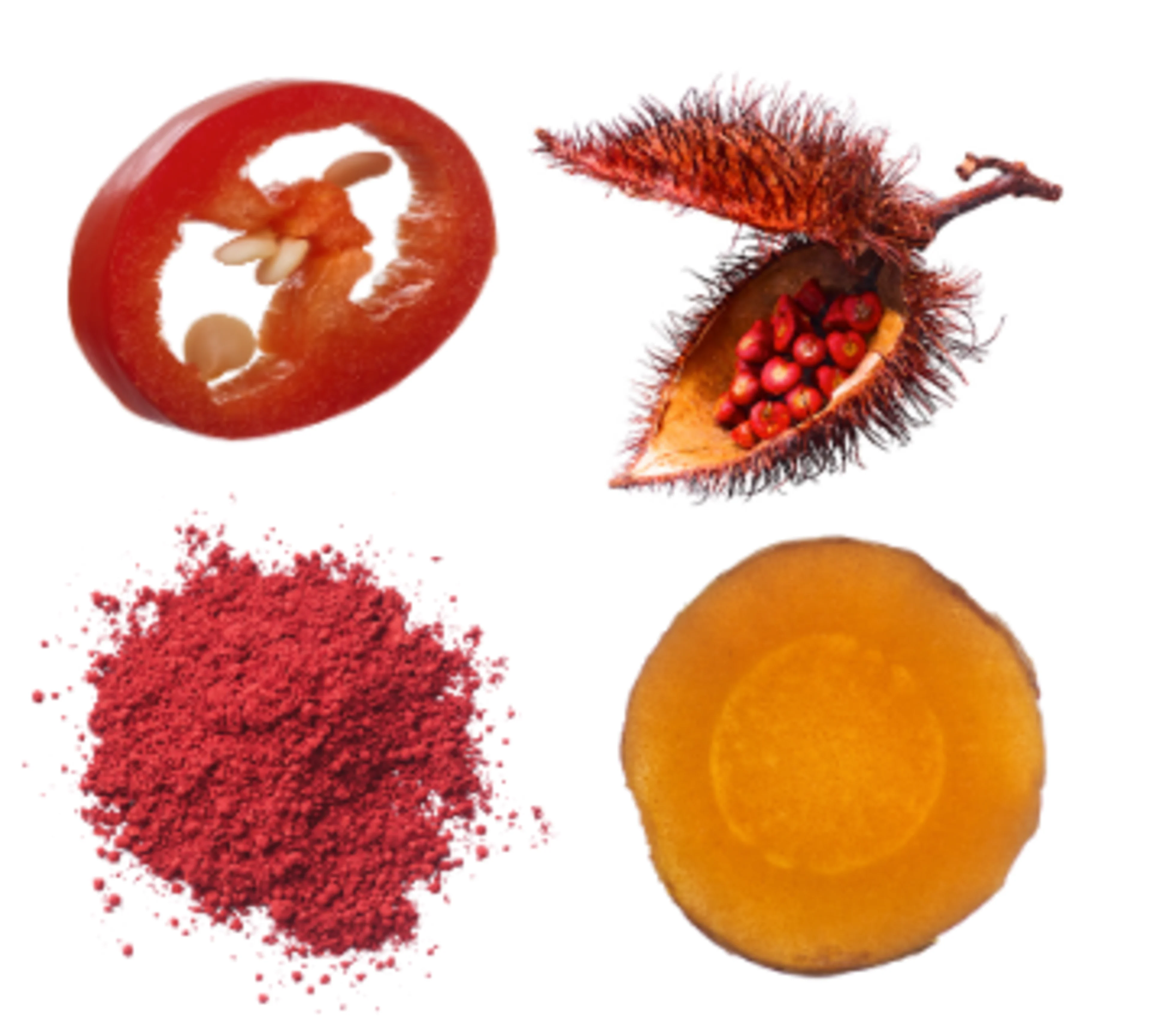 Codex expanded the use of beta-carotene, annatto, paprika and turmeric at CAC46