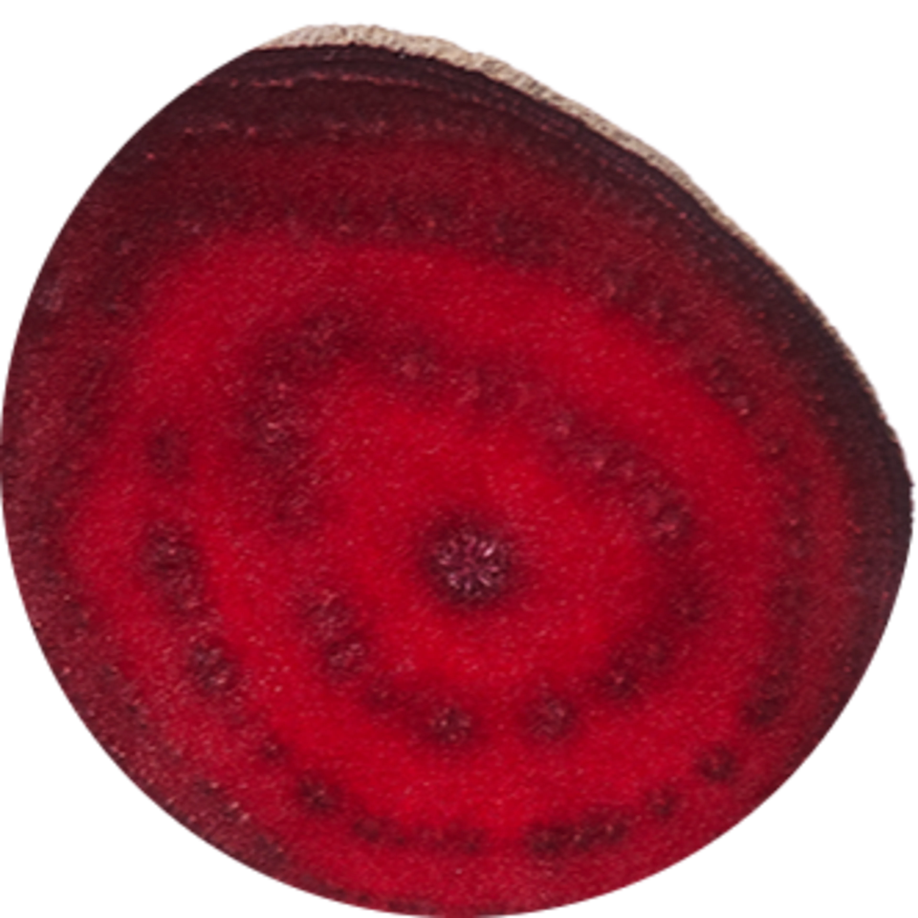 Chr-Hansen-red-beet-cutout-0118