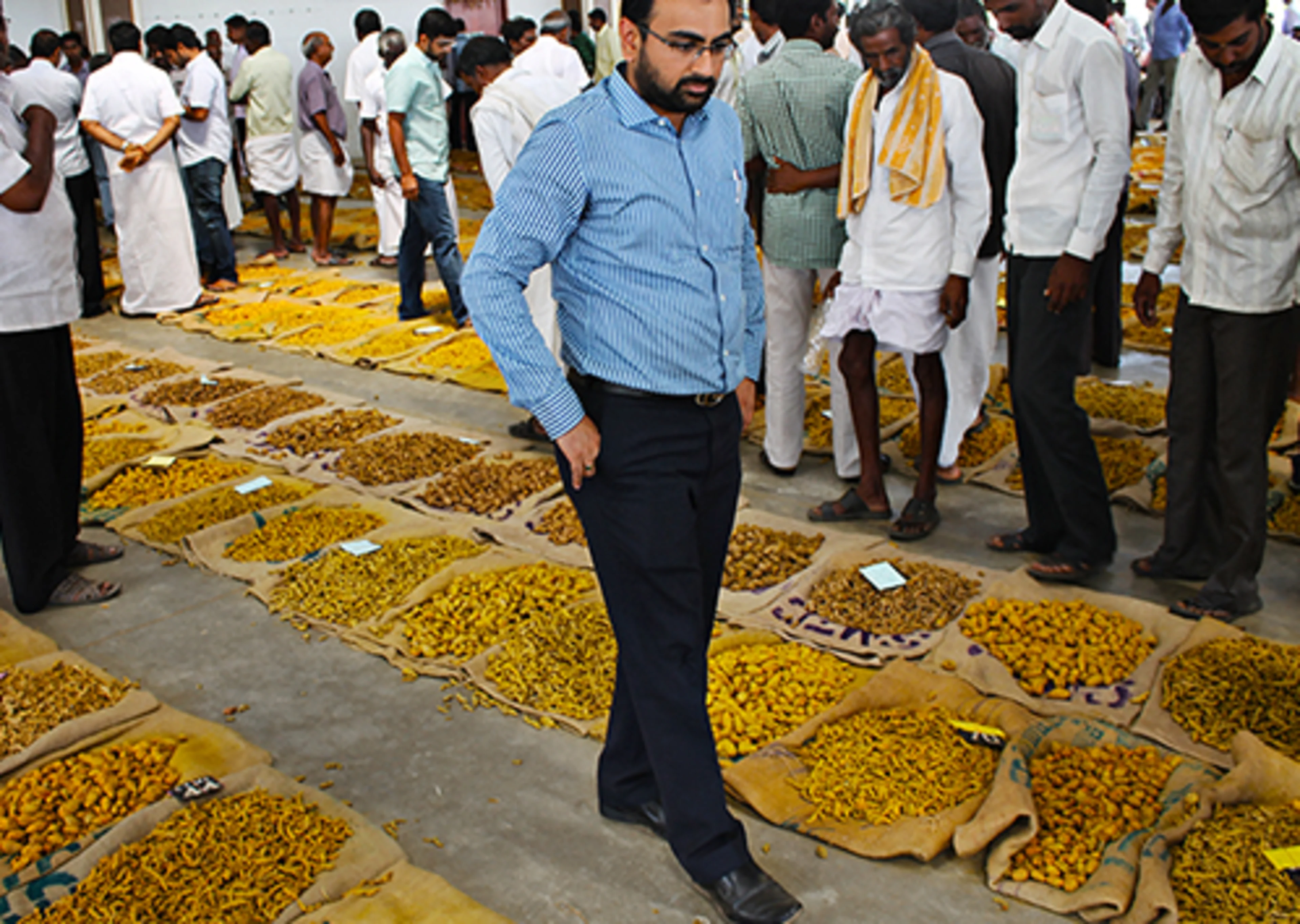 Only select varieties of turmeric are suitable for natural colors