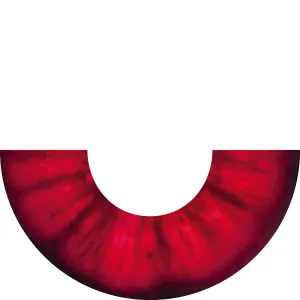 bottom arch 300x300px radish